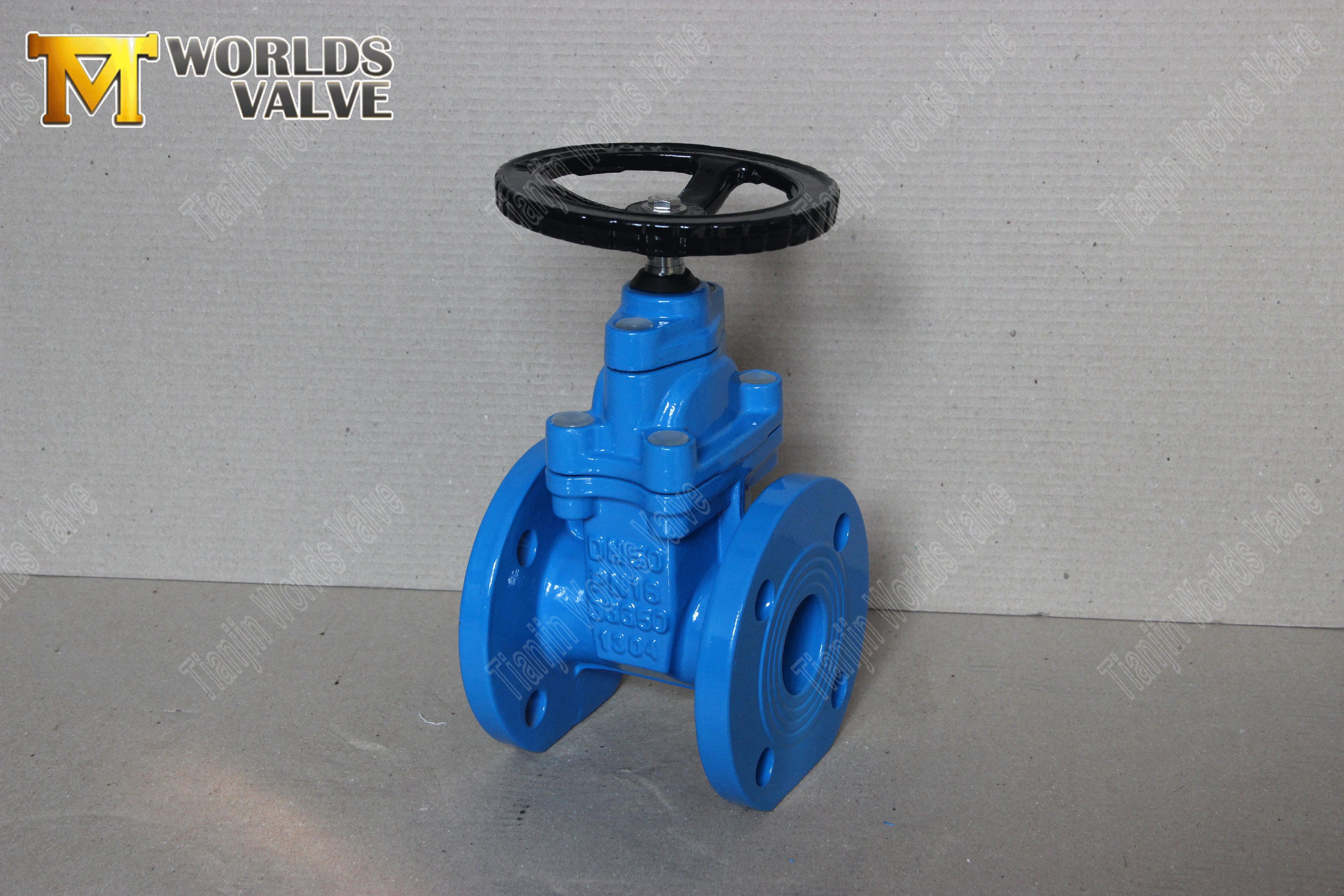 Gate Valve Supplied by Tianjin Worlds Valve AWWA-C509-GATE-VALVE-With-Resilient-Sitz