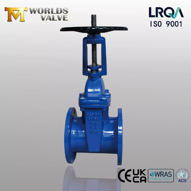 ResilientSeatedGateValve vs. metallisch dichtender Absperrschieber – Was sollten Sie wissen?