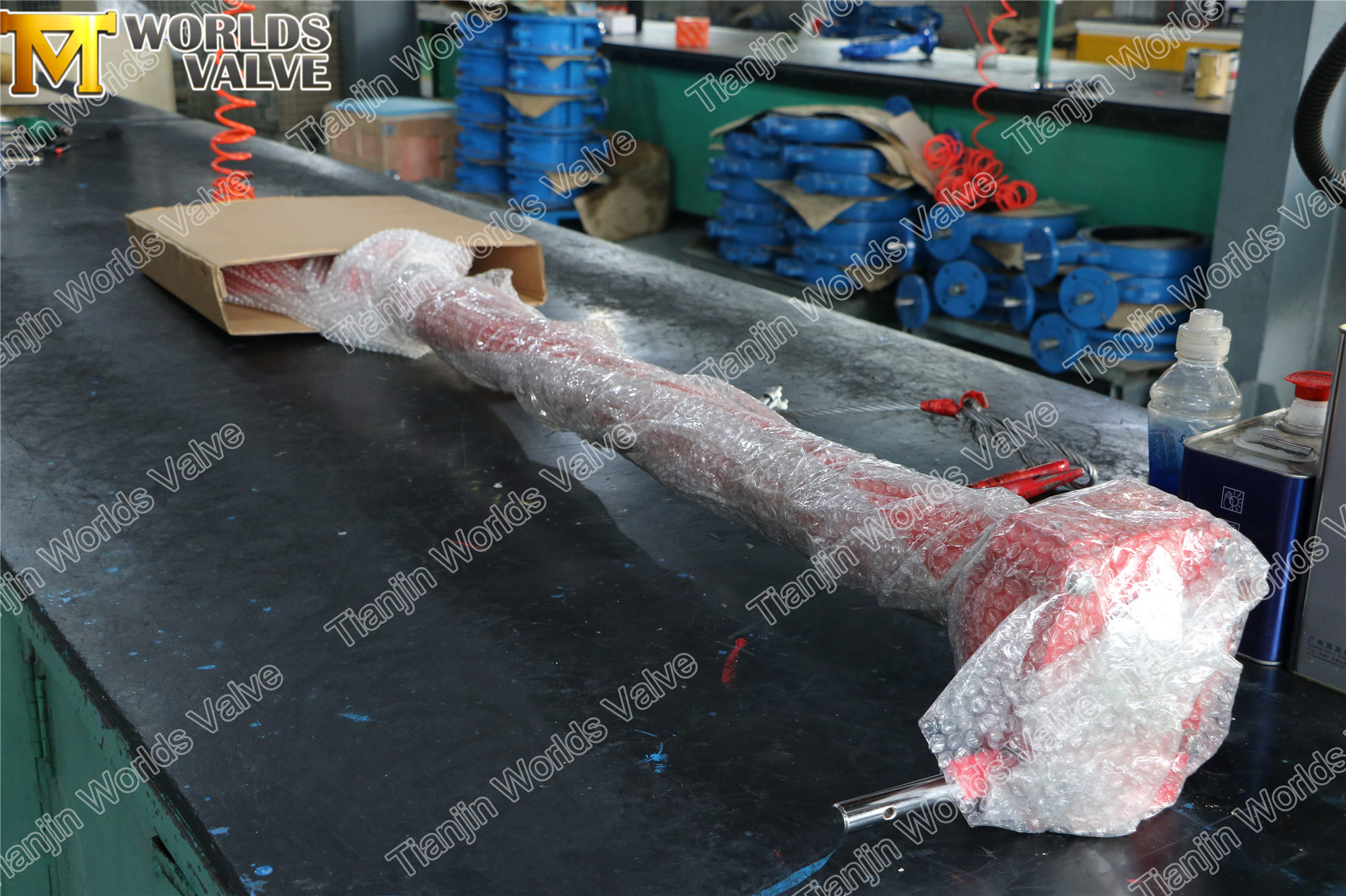 PTFE -Schmetterlingsventil mit Verl&auml;ngerungsstamm (2)