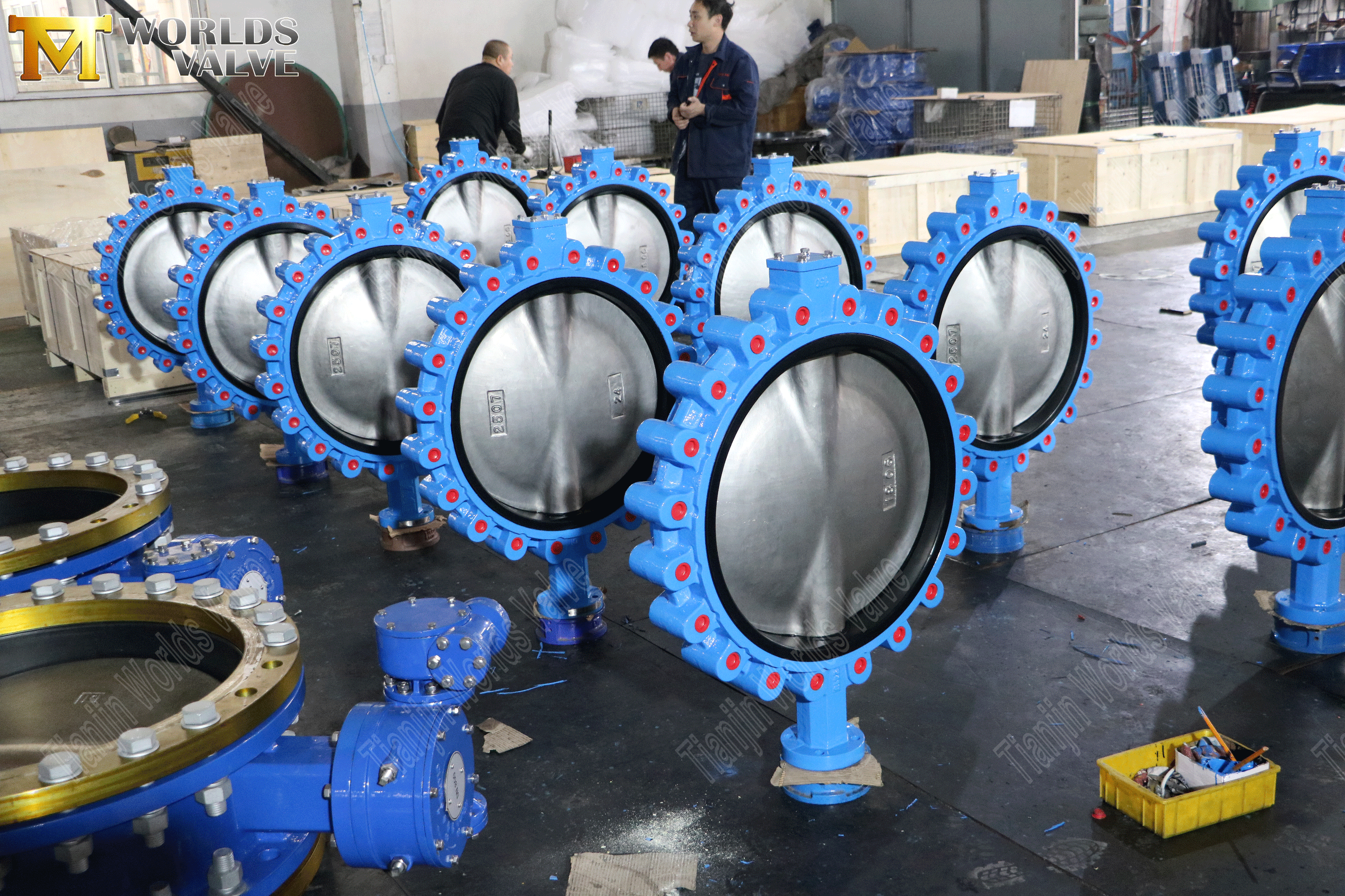 Konzentrische Schmetterlingsvavles mit Wurmgetriebe (5)