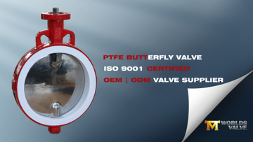 Wafer Type PTFE Butterfly Valve with Mirror-Polished SS Disc.jpg