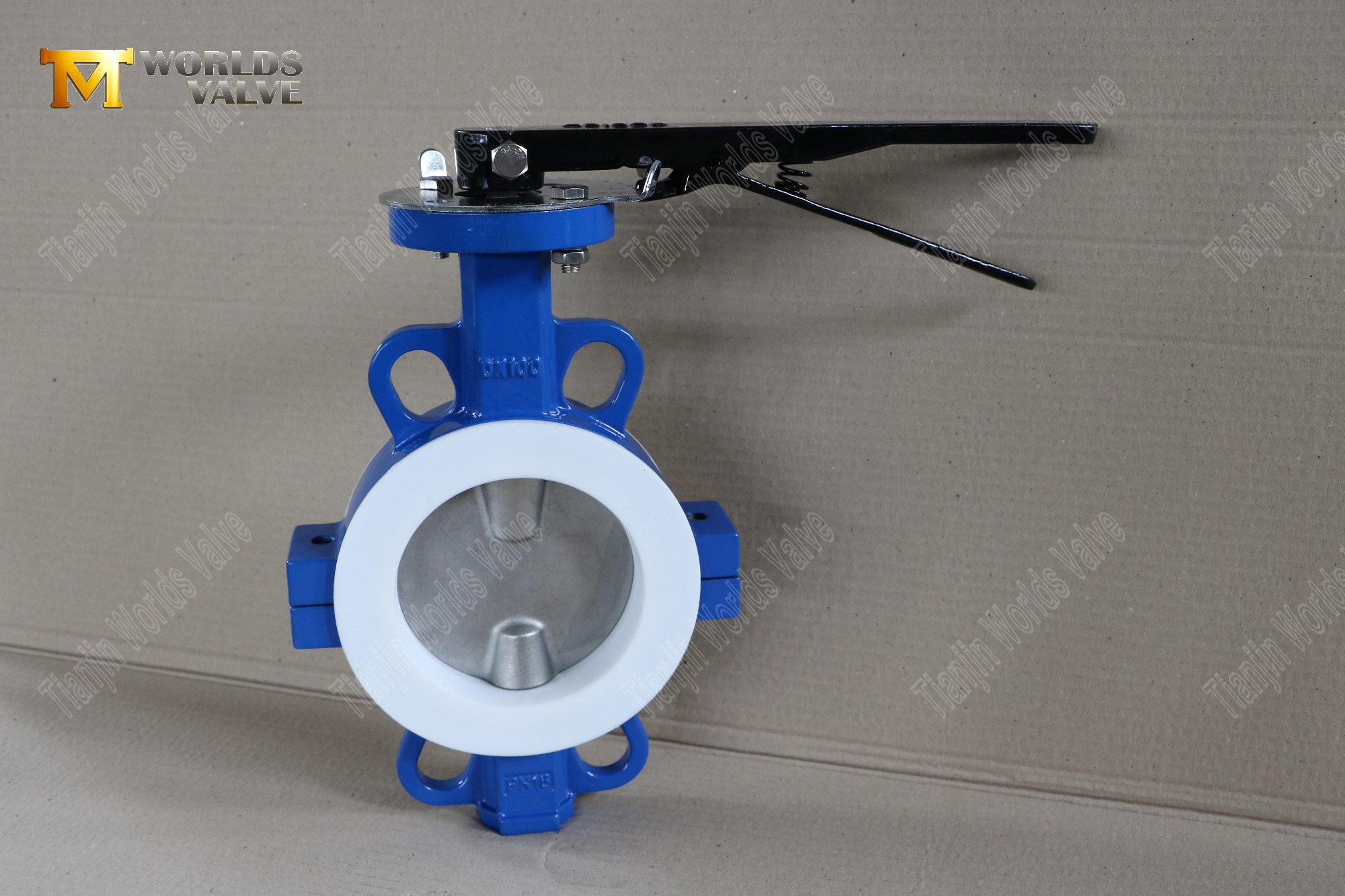 DN100-teflon ausgekleidete Wafer-Split-Body-Butterfly-Valves-Korrosionsresistente Flow-Control- (1)