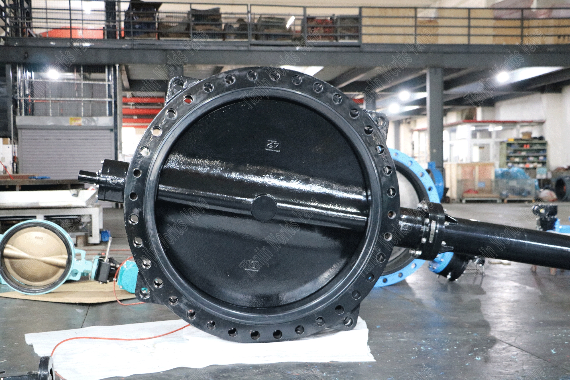 DI -Scheibe mit Nylon -beschichtetem Schmetterlingsventil mit Ausdehnungspindel (2)