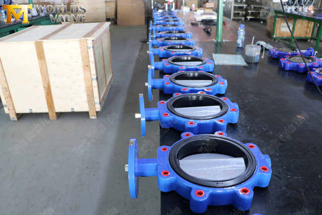 Konzentrische Schmetterlingsventillieferanten - Lug -Schmetterlingsventil mit EPDM -Sitz