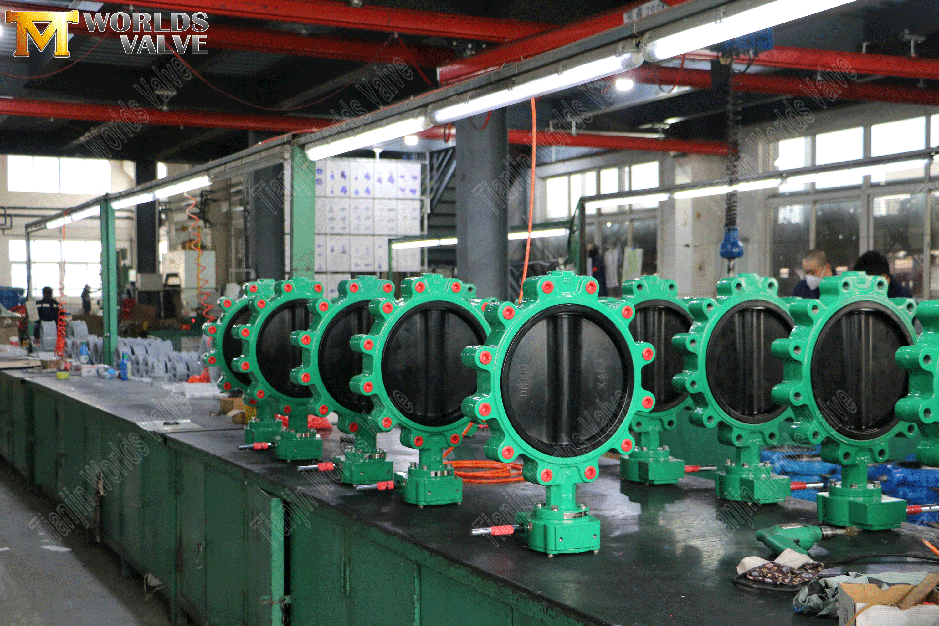 Zentrale Schmetterlingsvavles mit Wurmgetriebe (7)