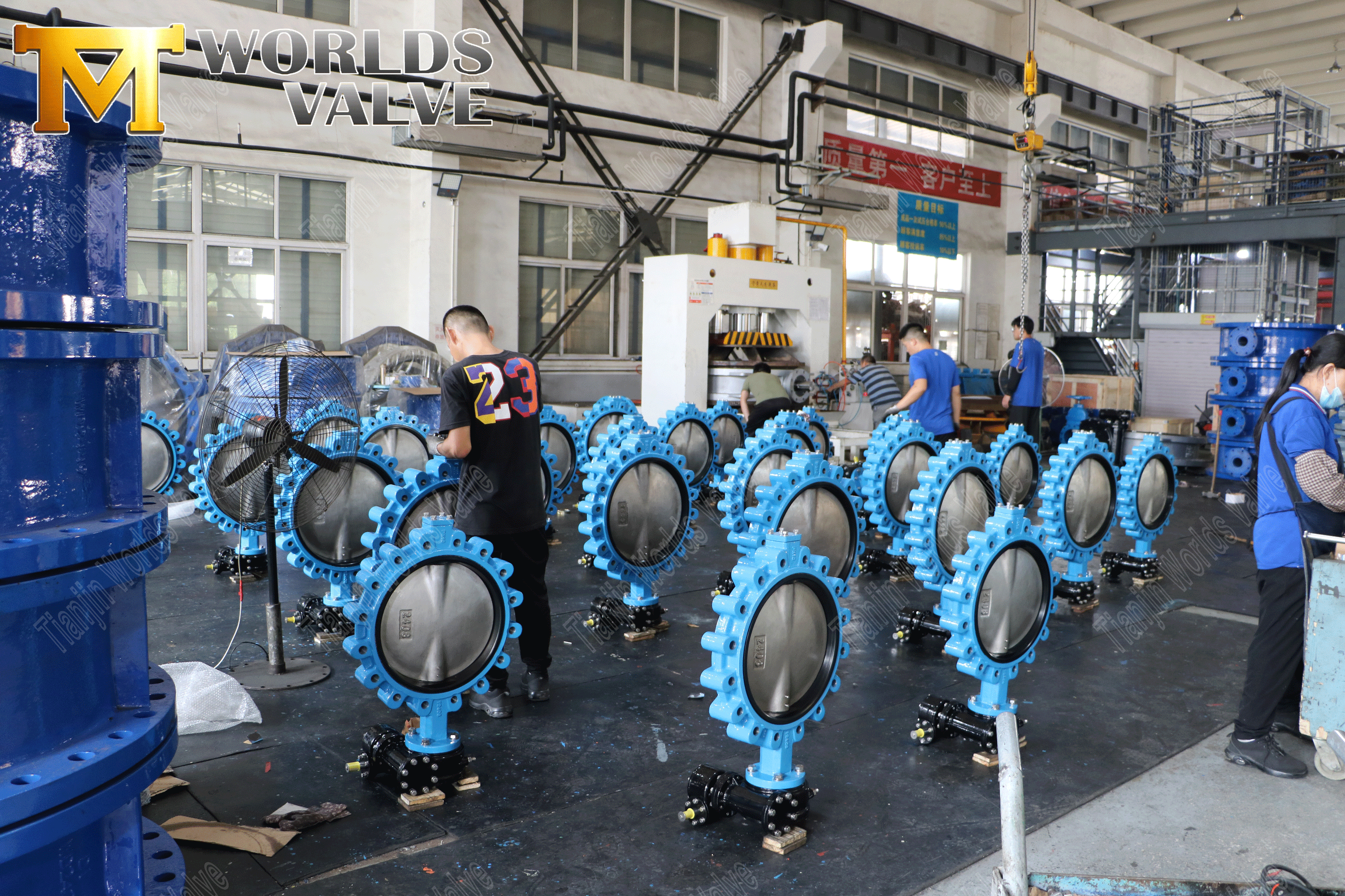 Konzentrische Schmetterlingsventil Hersteller-Lug-Schmetterlingsventil mit Hebelgriff (9)