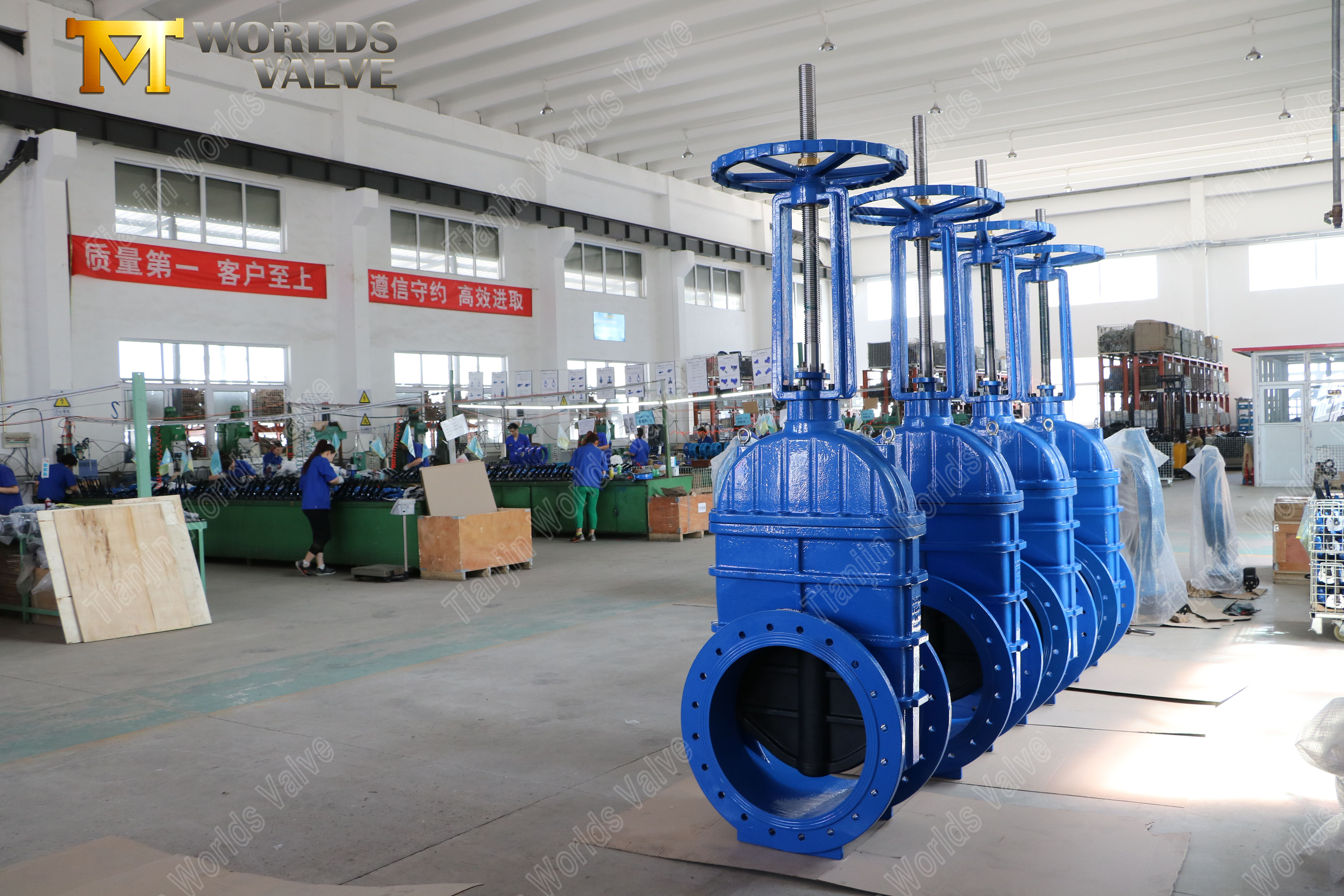 Absperrschieber mit Flansch und steigender Spindel, EPDM-Sitz und Getriebeantrieb (7)