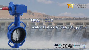Two-Shaft Wafer Butterfly Valve CF8 Disc & EPDM Seat Worm Gear Operated.png