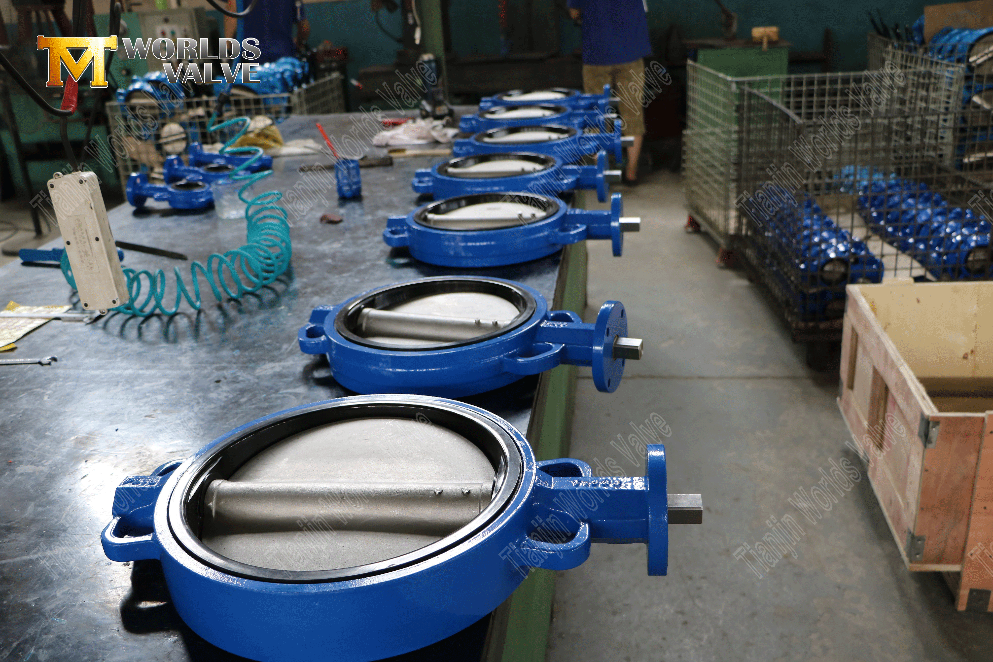 Schmetterlingsventile vom Typ Wurmgetriebe mit Gummi auskleidet (3)