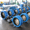 Schmetterlingsventil mit AWWA C504 Standard - Konzentrischer Schmetterlingsventilhersteller