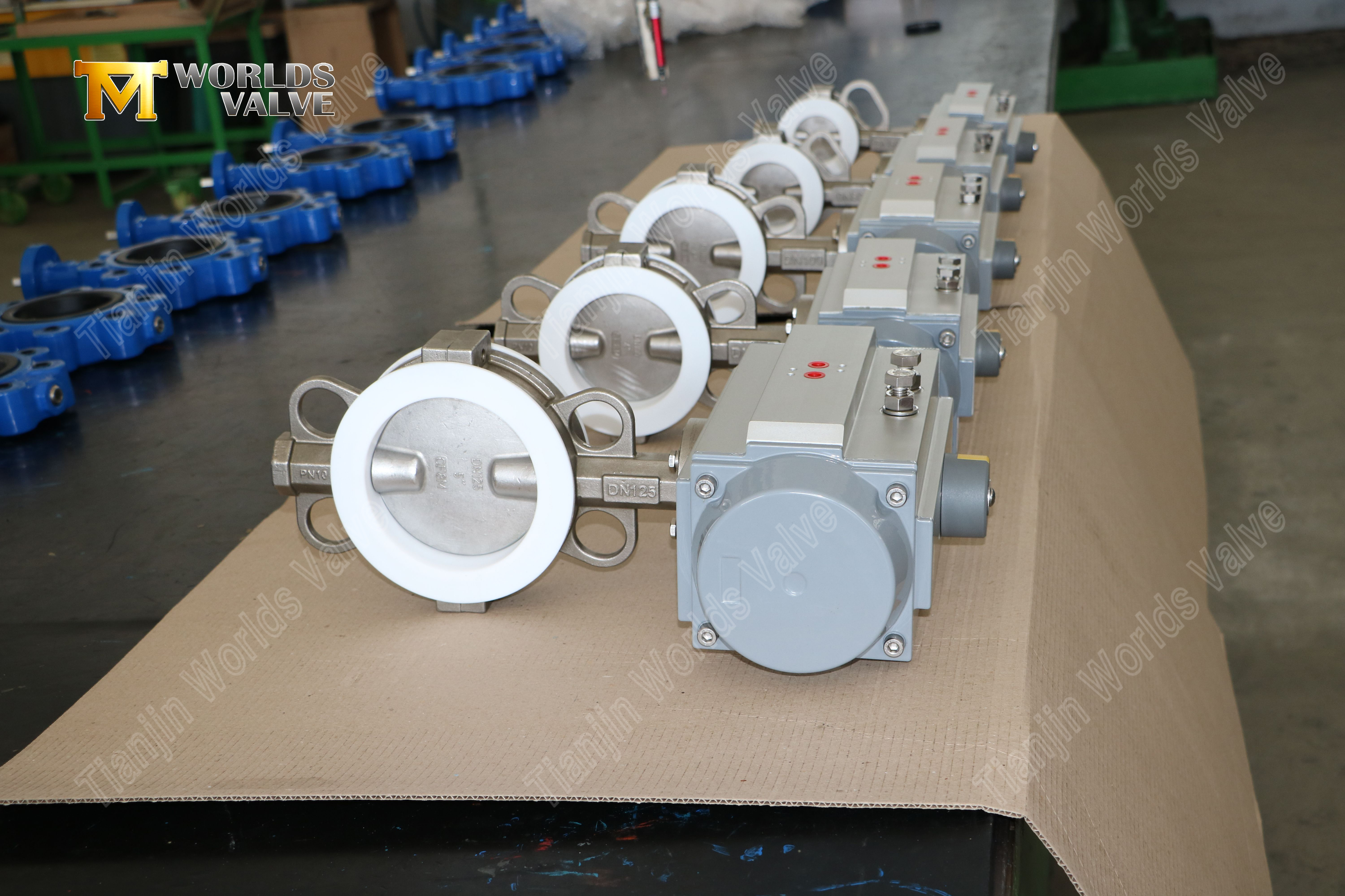 Split-Body-ptfe-SSS-Butterfly-Valve-mit-Pneumatic-Actuation-6