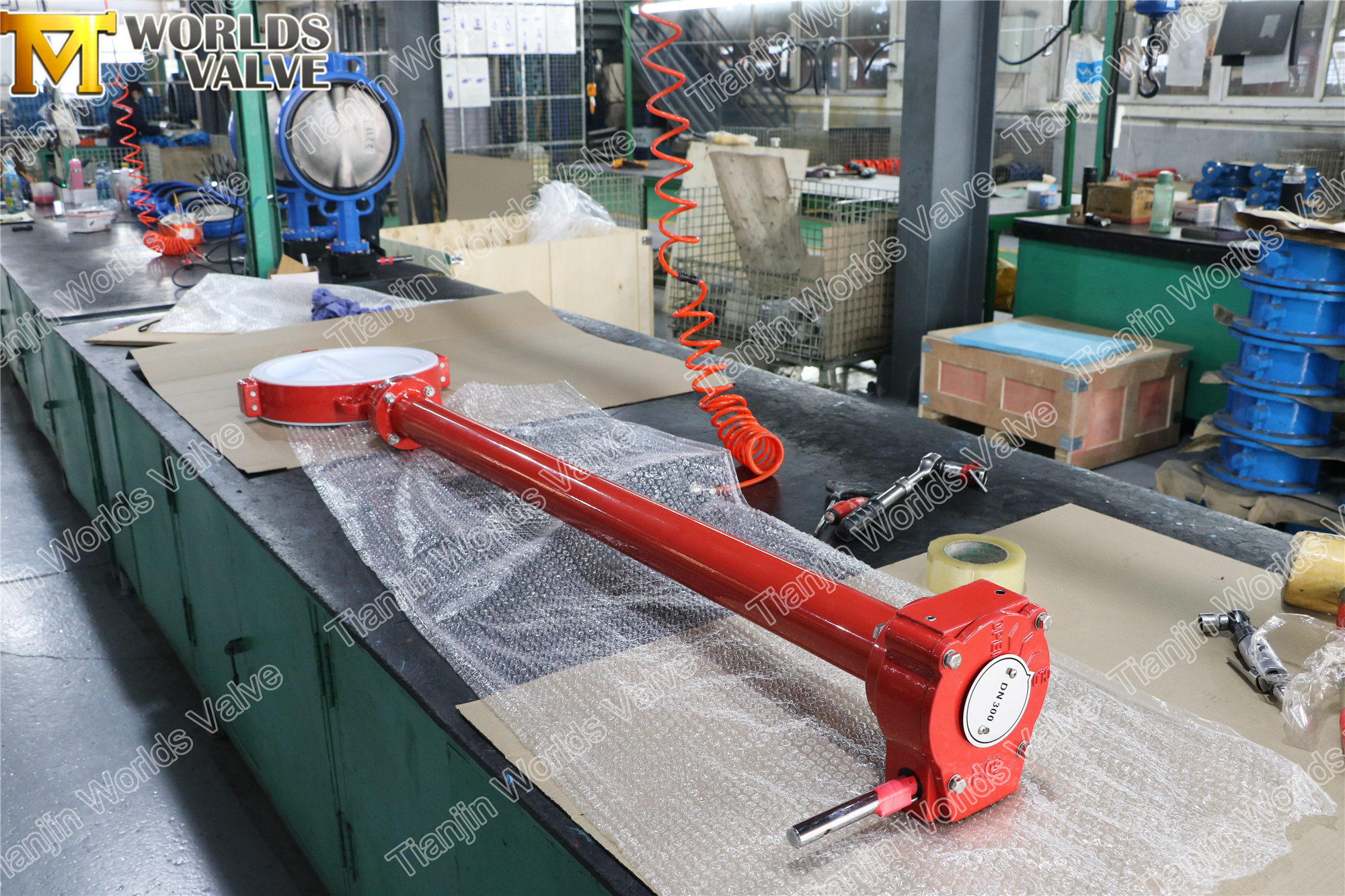 PTFE -Schmetterlingsventil mit Verl&auml;ngerungsstamm (3)