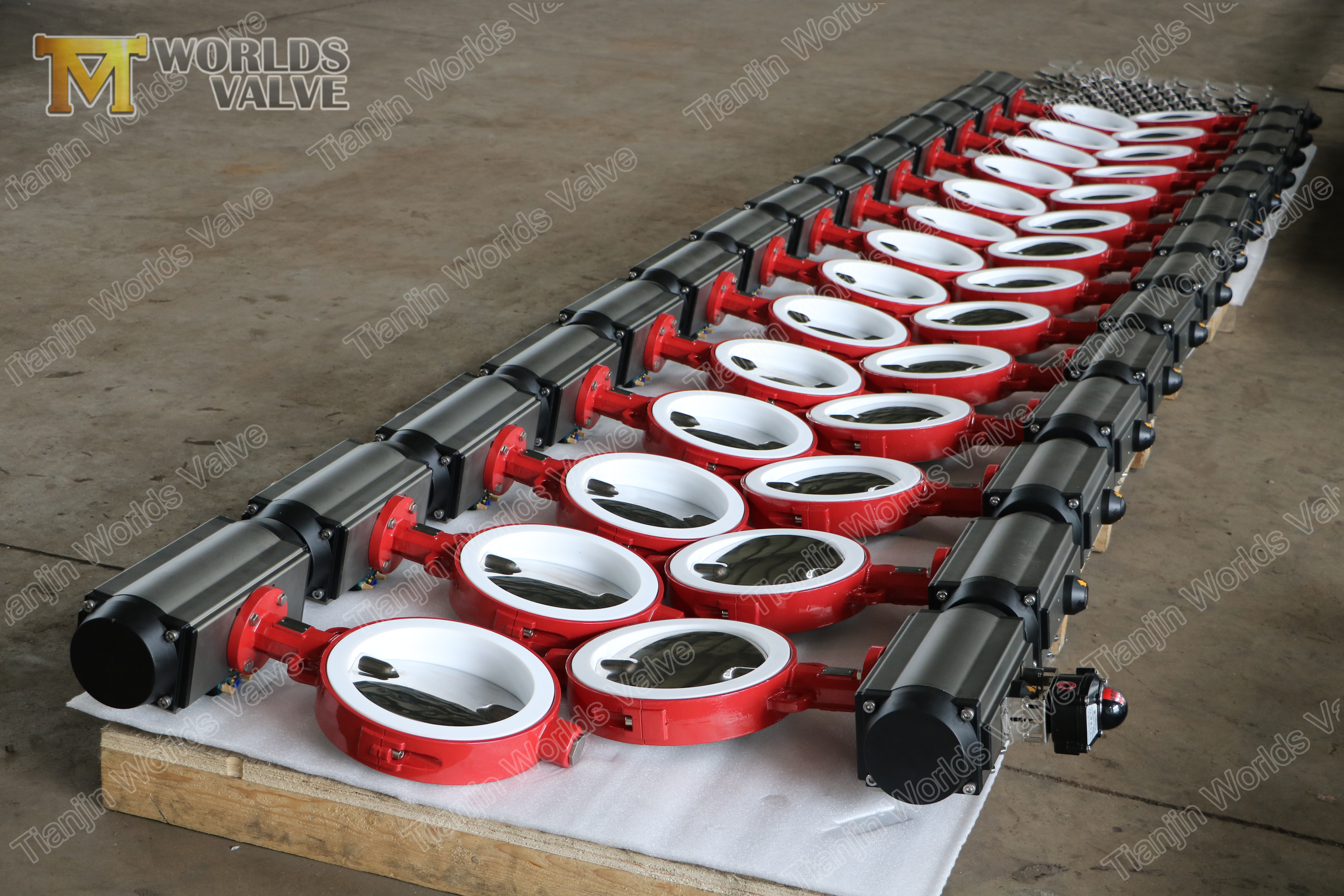 2 Edelstahl-polierter Scheibe und PTFE-Sitz, hohe Leistung