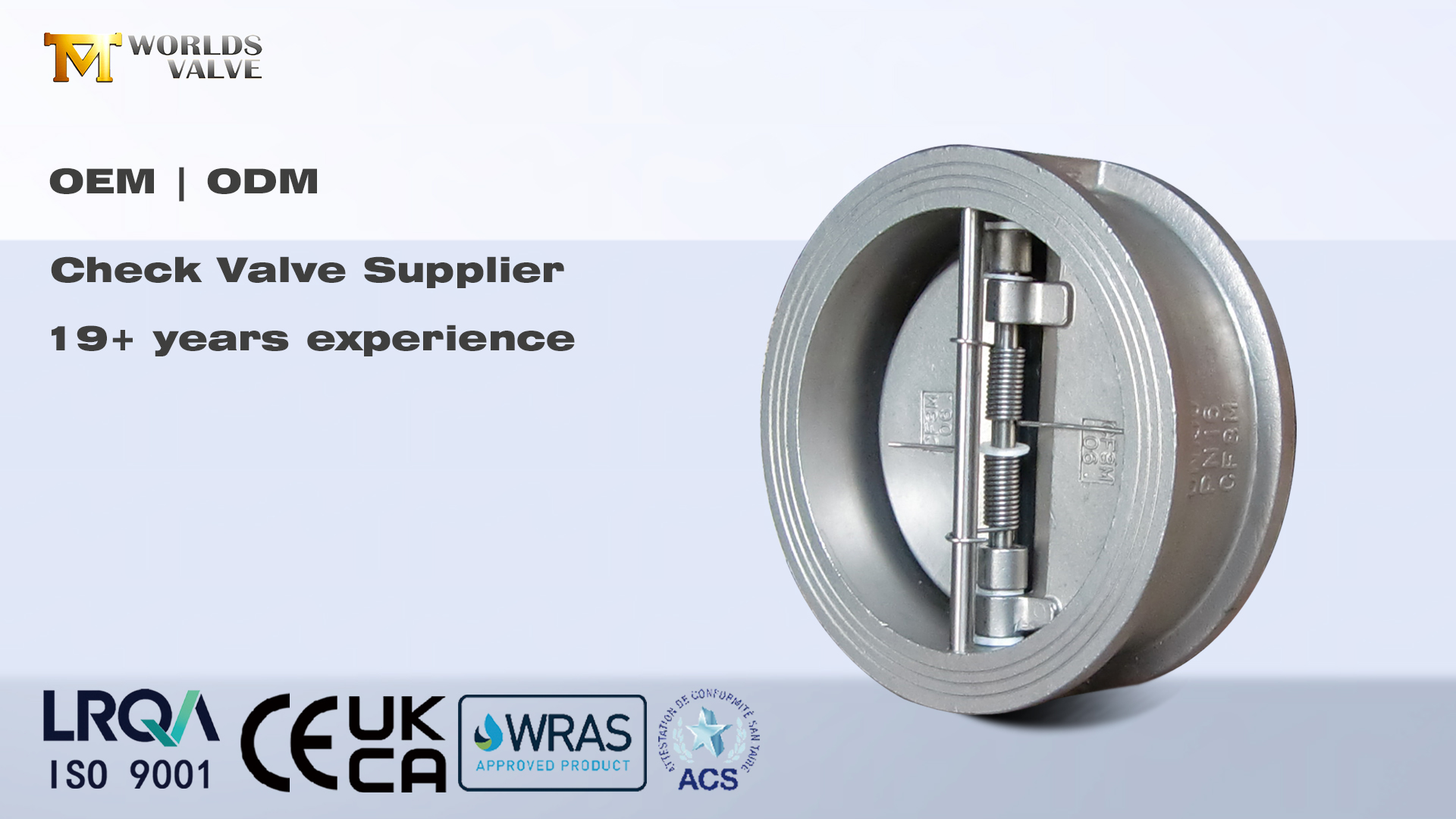 Rückschlagventile: Unverzichtbare Rückflussverhinderung für Industriesysteme | Weltenventil