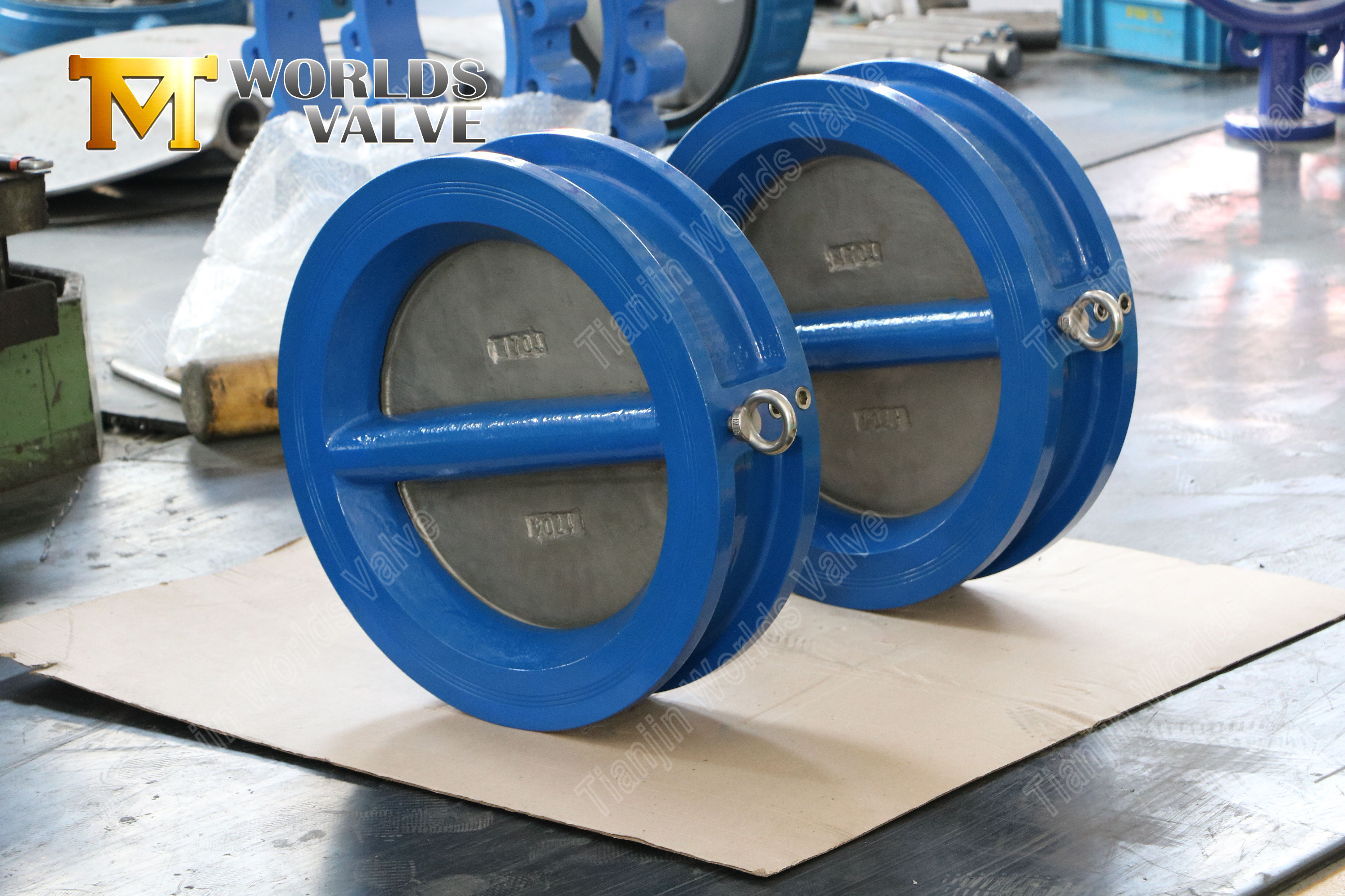 Doppelplatten-R&uuml;ckschlagventil aus Edelstahl mit Scheiben aus C954-Legierung (8)