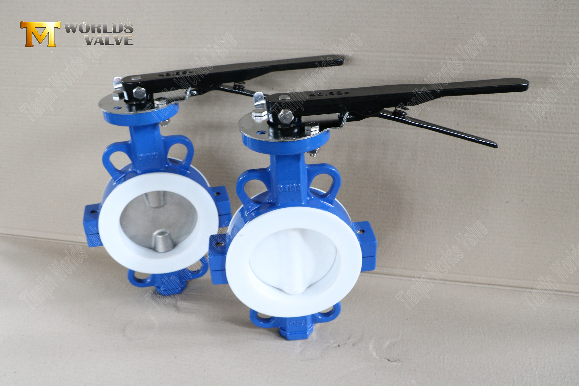 DN100-Teflon-Wafer-Split-Body-Butter-Fly-Valves-Corrosion-resistente Flow-Control- (2)