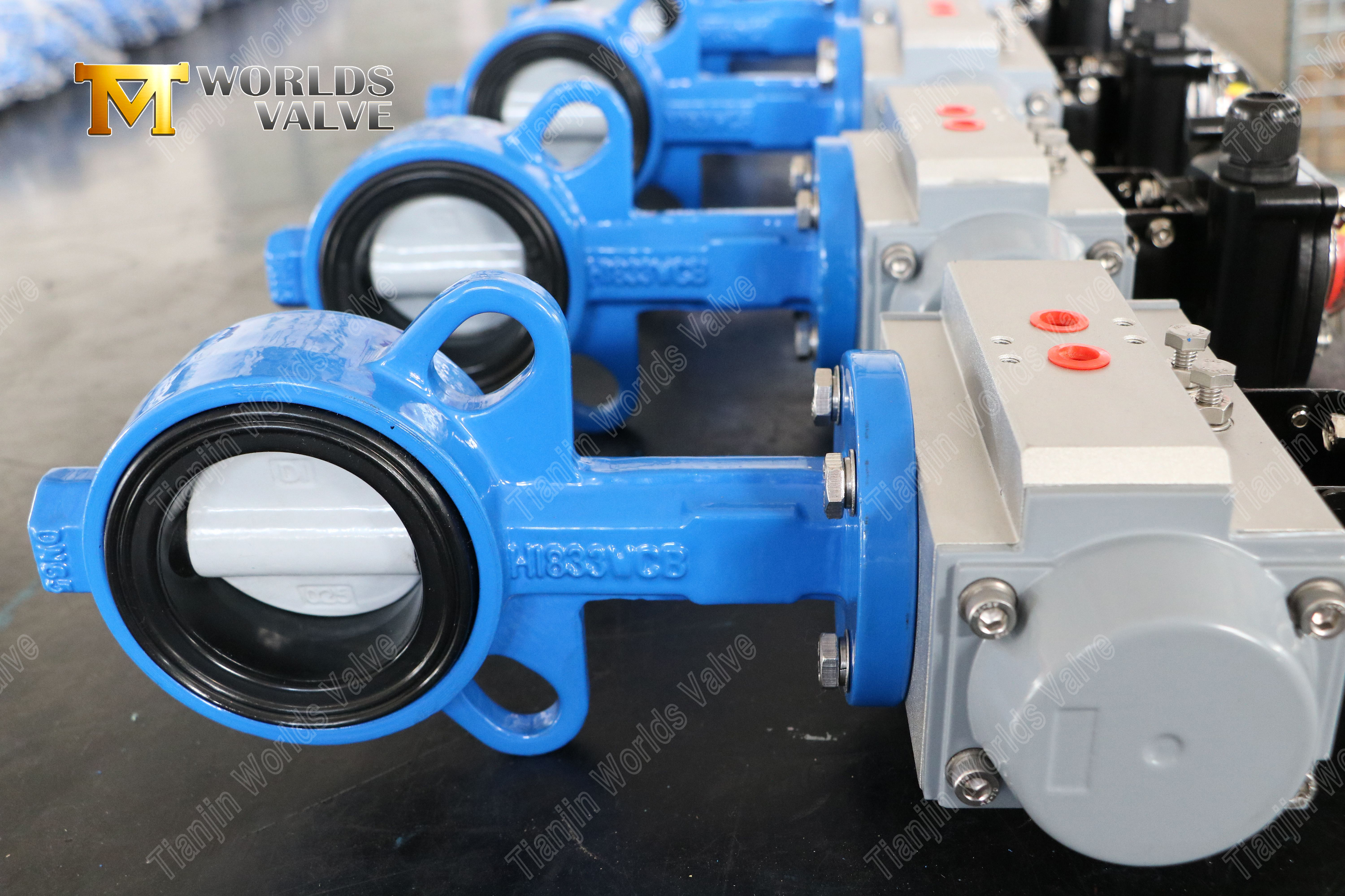 Wafer-Schmetterlingsventil mit Nylonscheibe und WCB-K&ouml;rperkosten-effektives Korrosionswiderstand-1 (3)