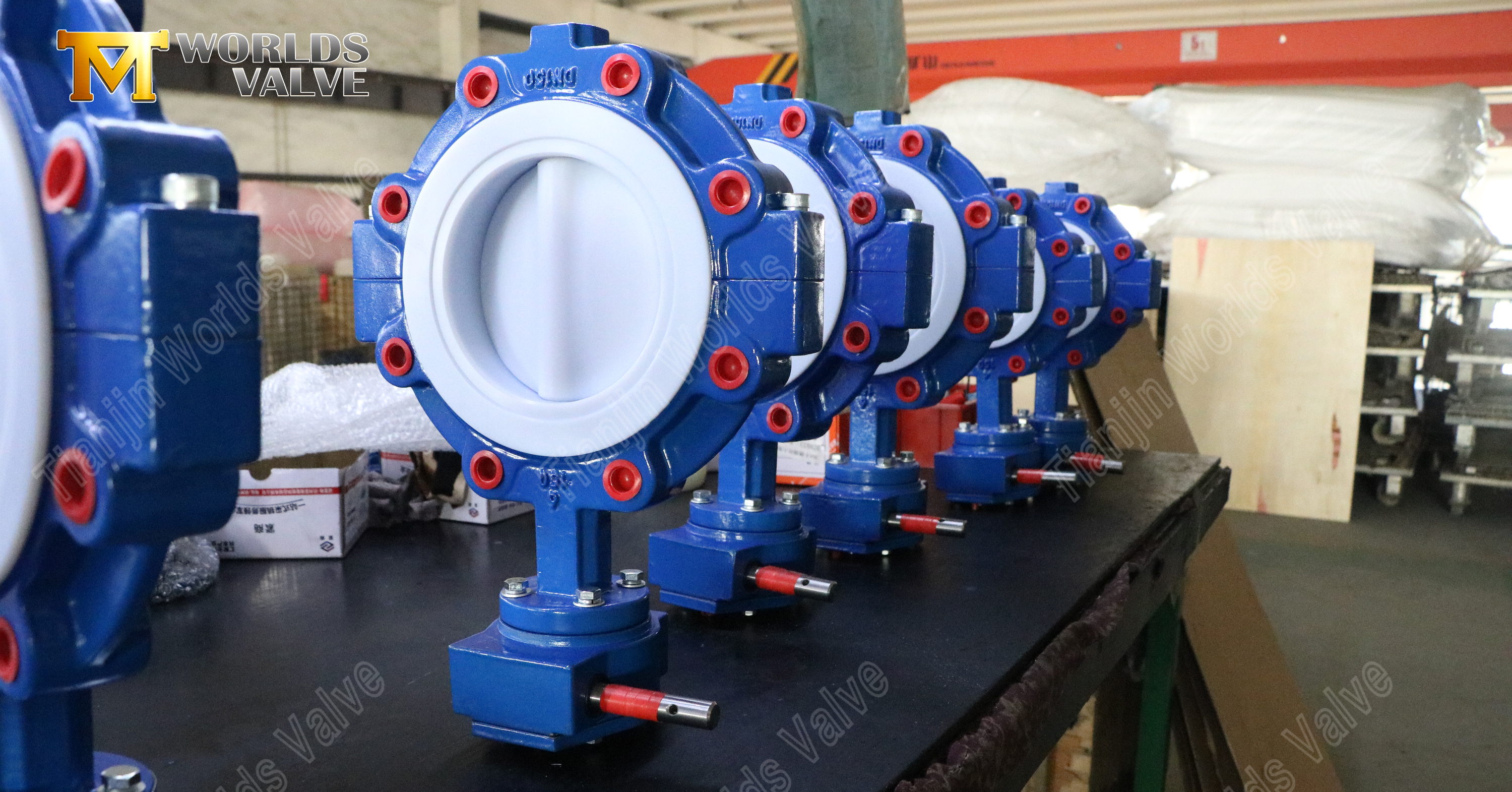 Absperrklappen mit geteiltem K&ouml;rper und abgedichtetem Teflonansatz (1)