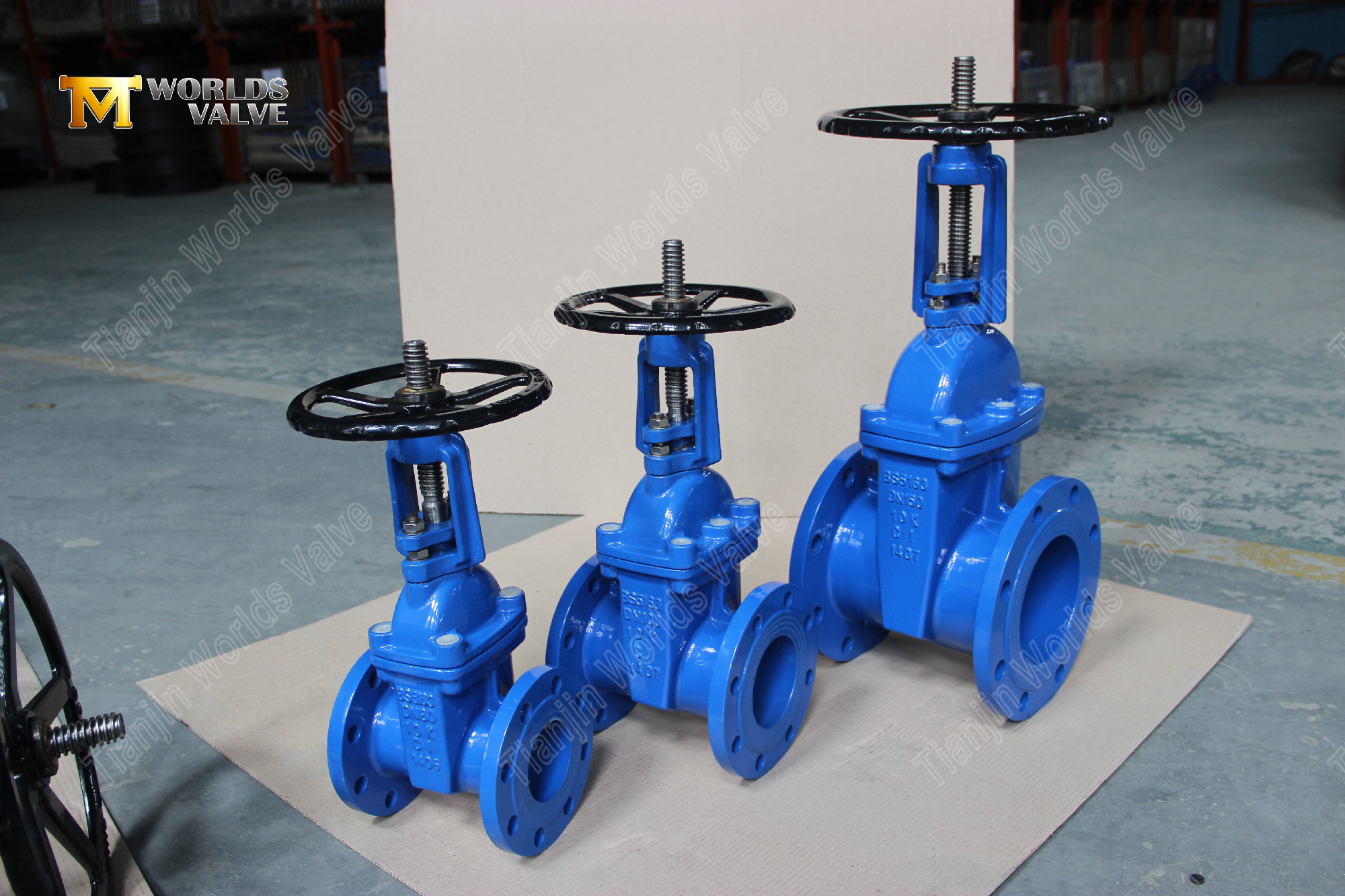 BS5163 Flansches Resilient-Said-Gate-Ventil mit steigendem Stiel zuverl&auml;ssiger Wasserkontrolll&ouml;sung-1 (2)