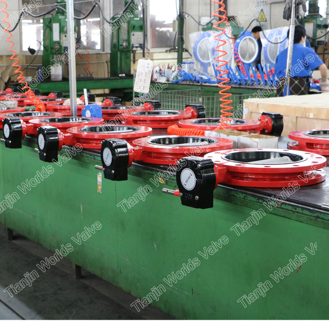 Konzentrische Linie Vulkanisiertes gebundenes Sitzschmetterlingsventil FBE-Doppelflansch u