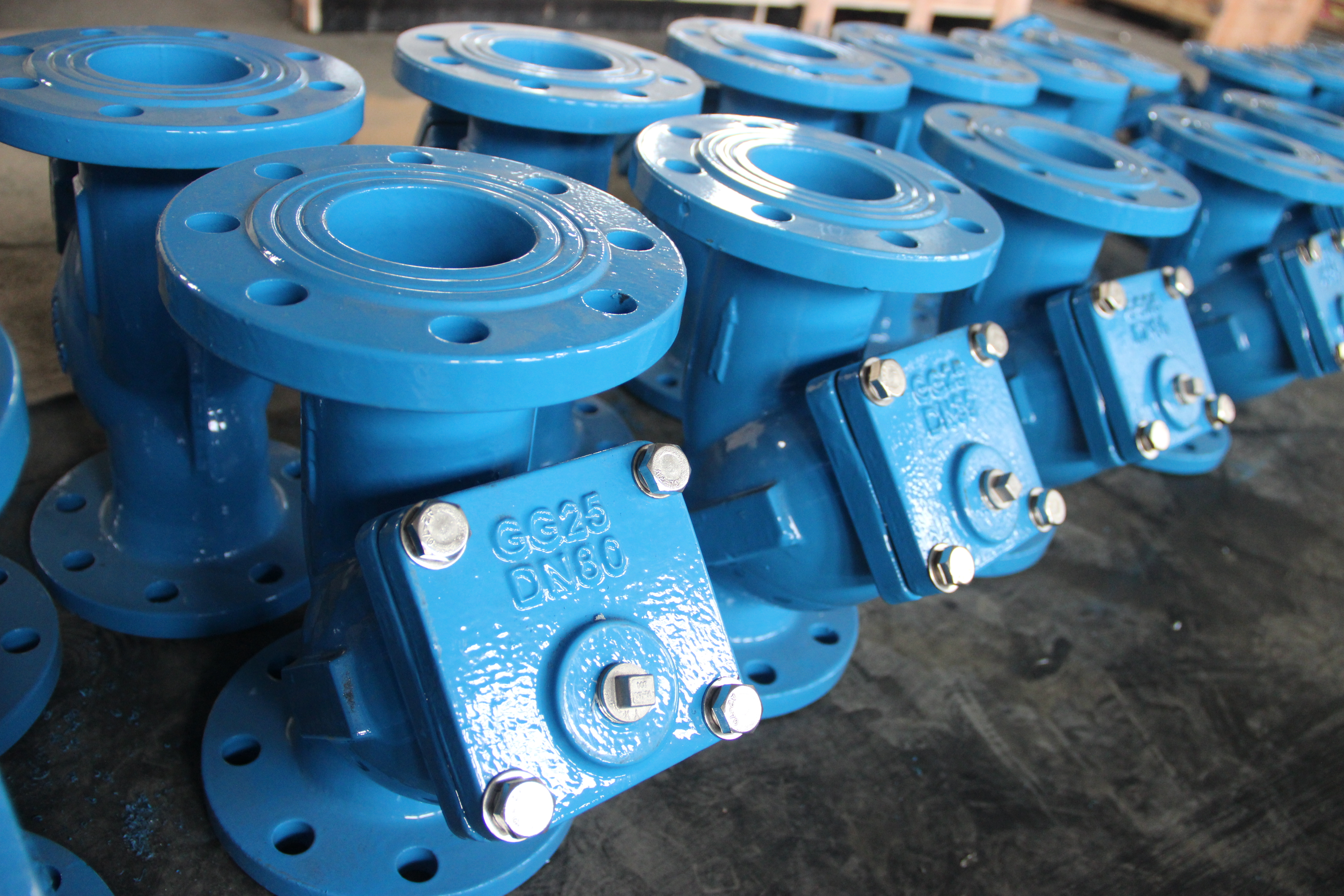 DN80 Y-Sieb, K&ouml;rper aus duktilem Gusseisen, Flanschverbindung, industrieller Rohrleitungsschutz (3).JPG