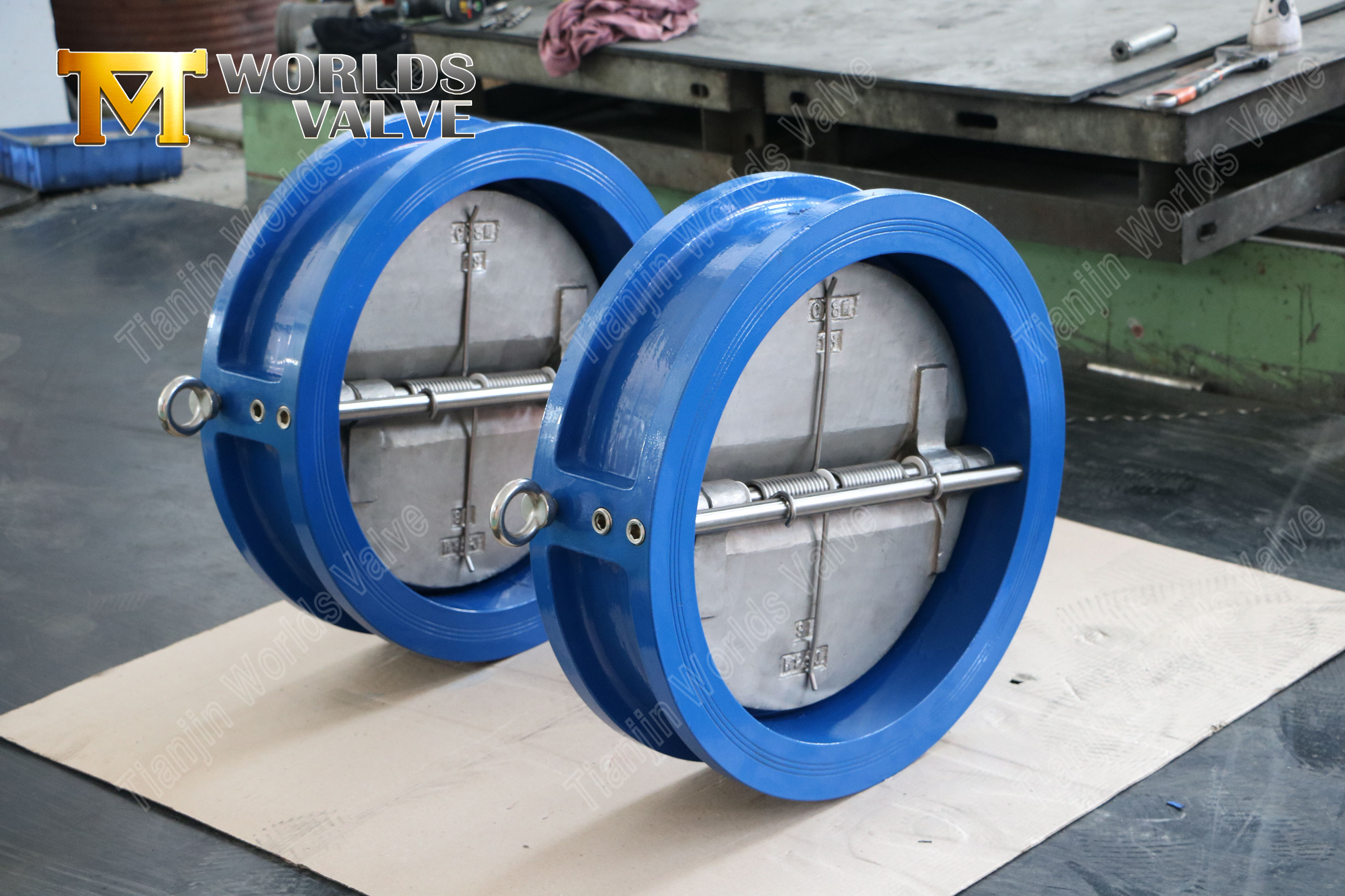 Doppelplatten-R&uuml;ckschlagventil aus Edelstahl mit Scheiben aus C954-Legierung (7)