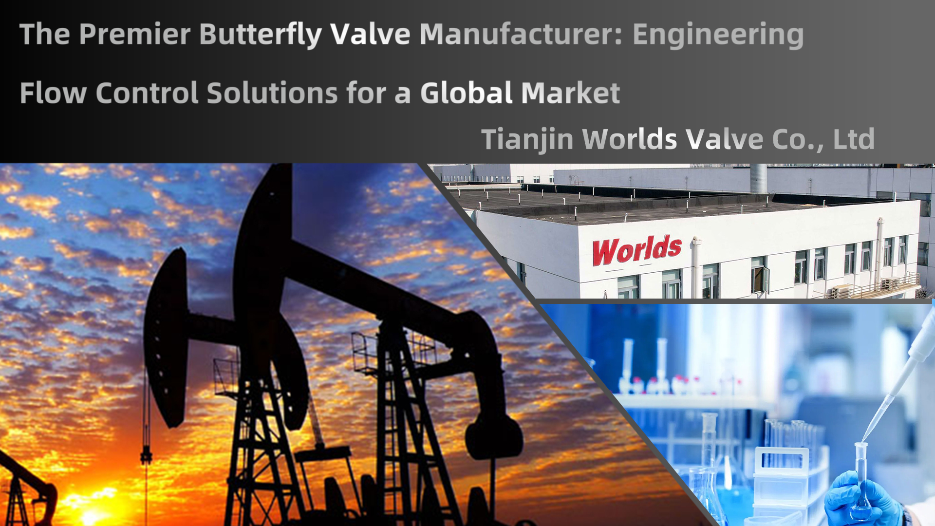 Der führende Hersteller von Absperrklappen: Entwicklung von Durchflusskontrolllösungen für einen globalen Markt | Tianjin Worlds Valve Co., Ltd.