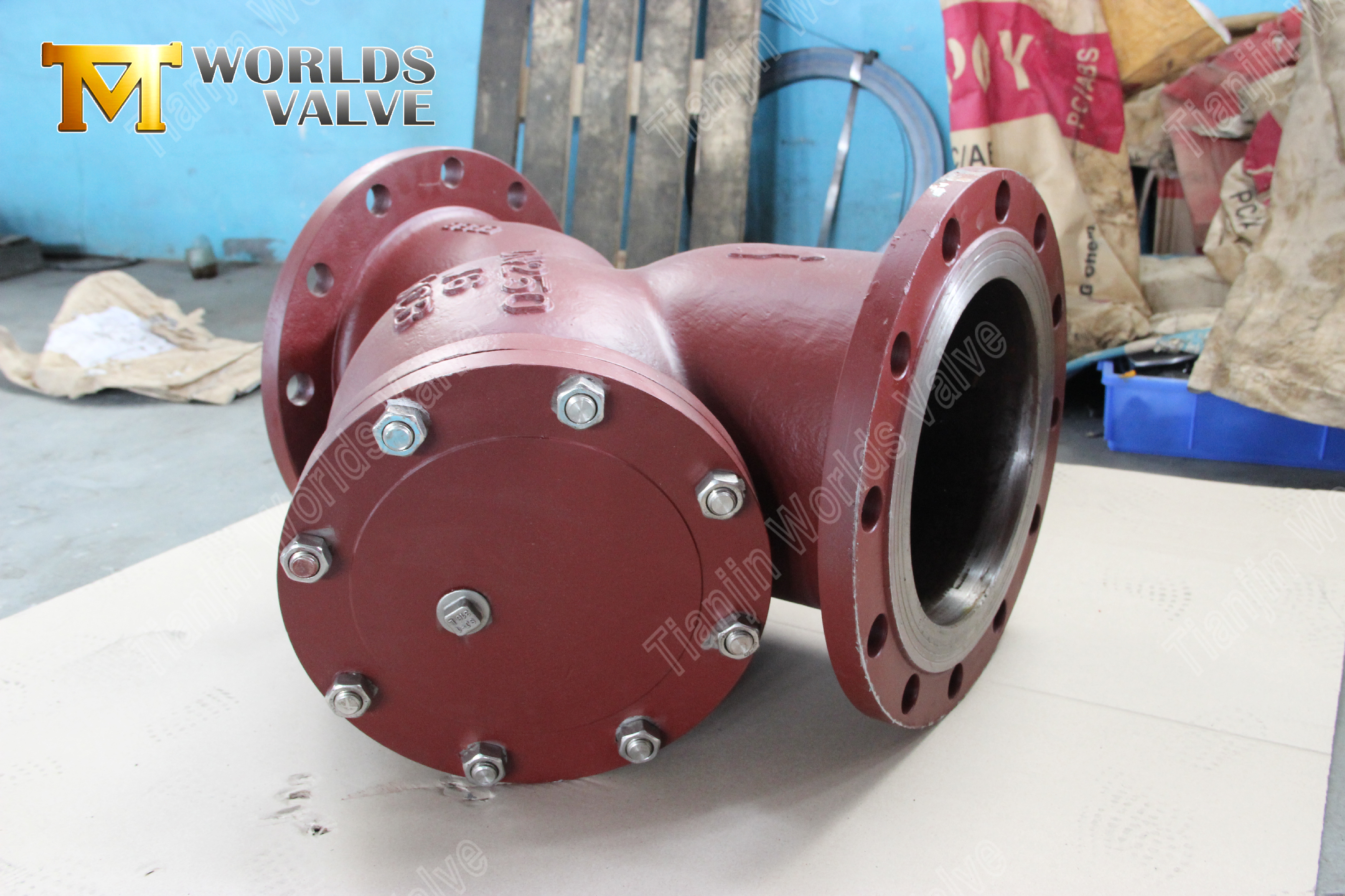 Flansch-Y-Sieb WCB-Kohlenstoffstahl-Industrierohrleitungsschutz (8)