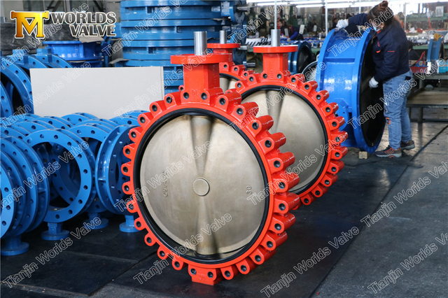 DN750 30 Zoll Lug Absperrklappe mit Aluminiumbronzescheibe