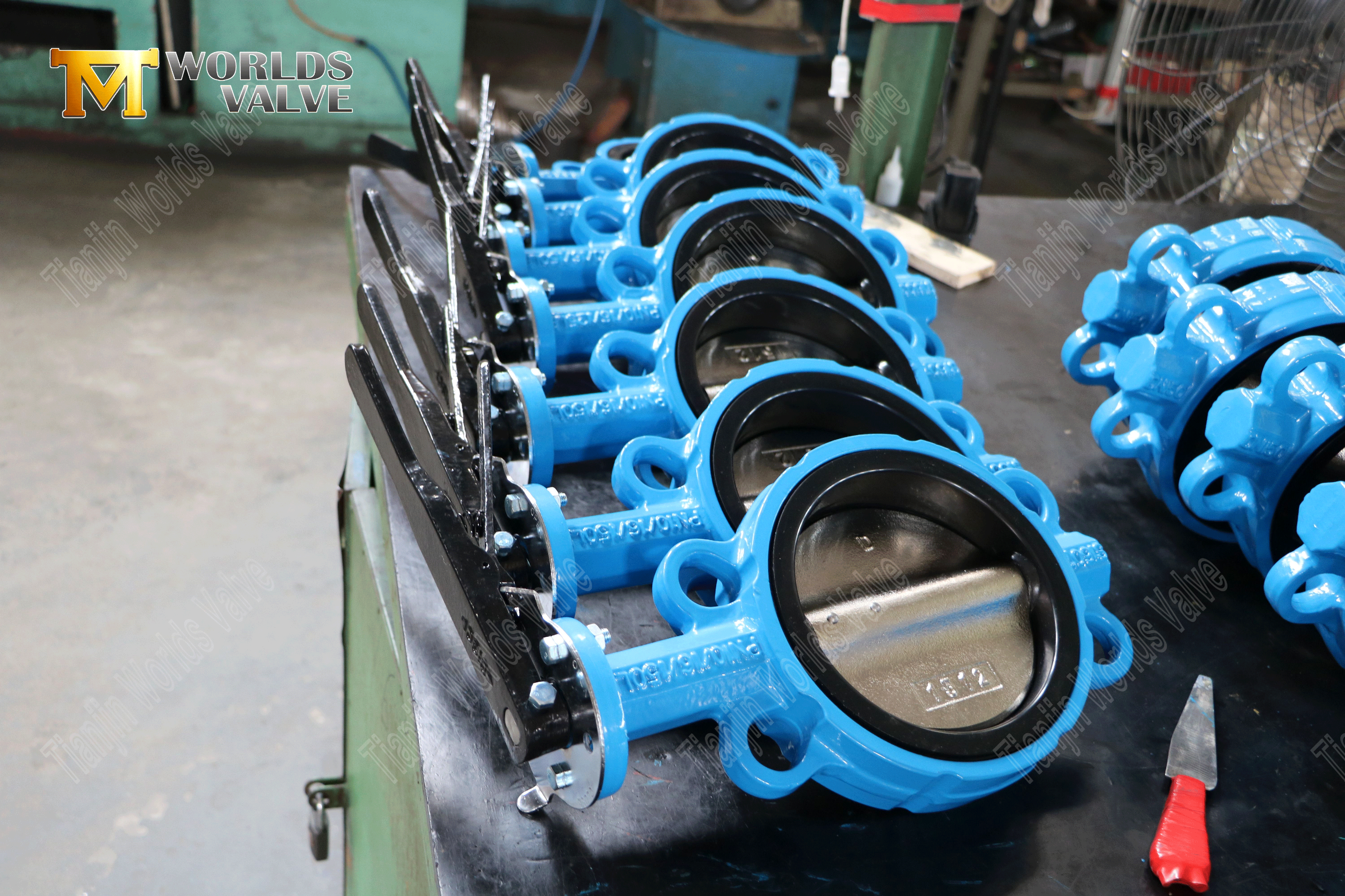 Schmetterlingsventile vom Typ Wurmgetriebe mit Gummi ausgekleidet (4)