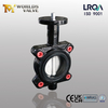 EPDM -Sitz -Schmetterlingsventil mit CF8M Disc | Lugentyp Industrial-Grade-Lösung