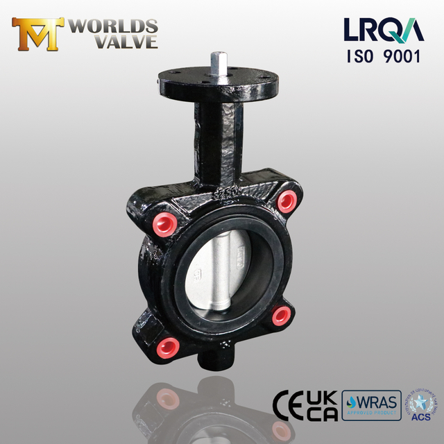 EPDM -Sitz -Schmetterlingsventil mit CF8M Disc | Lugentyp Industrial-Grade-Lösung