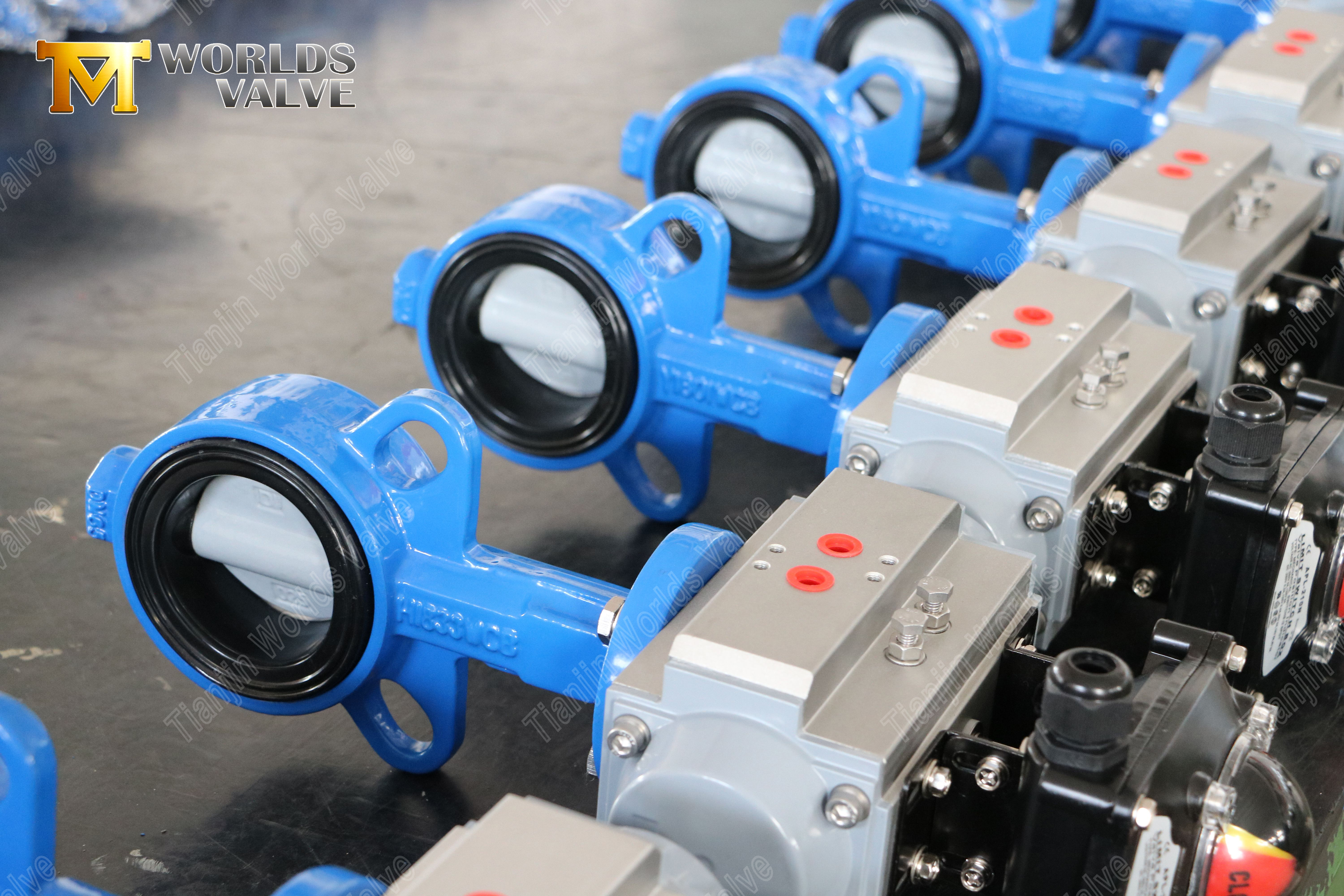 Wafer-Schmetterlingsventil mit Nylonscheiben- und WCB-K&ouml;rperkosten-effektives Korrosionswiderstand-1 (2)