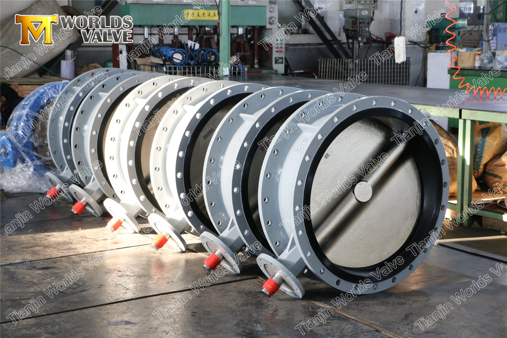 2 EN593DE558BS5155 Standard Doppelflansch-Schmetterlingsventil