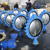 PN16 LUG Absperrklappe, Gehäuse aus duktilem Eisen und CF8M-Scheibe | China OEM-Ventillieferant