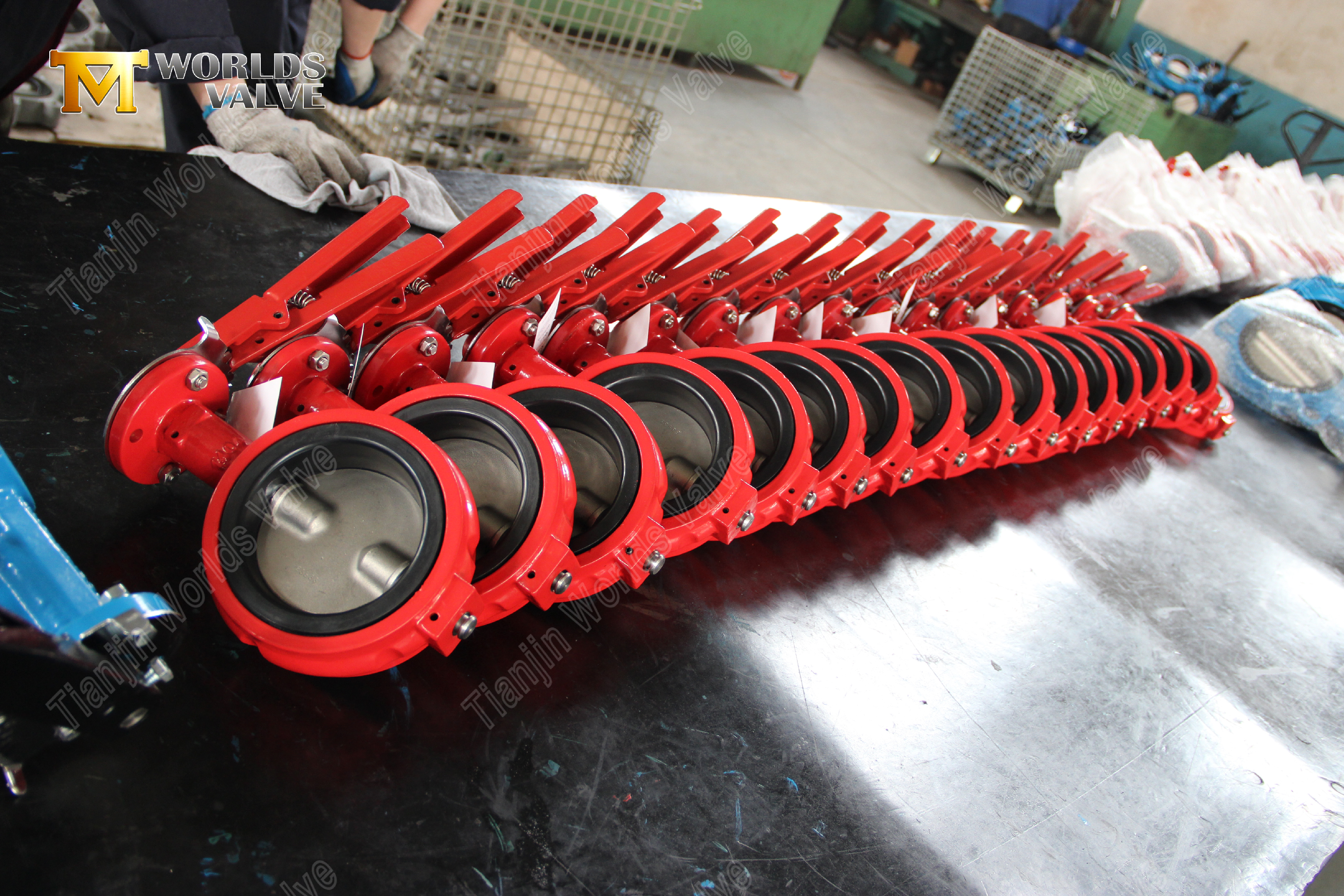 Industrielle Absperrklappen China OEM-Ventillieferant-1 (1)