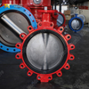 Absperrklappe mit Ansatz und austauschbarem EPDM-Sitz | DI-Körper CF8M-Scheibe | OEM-Lieferant