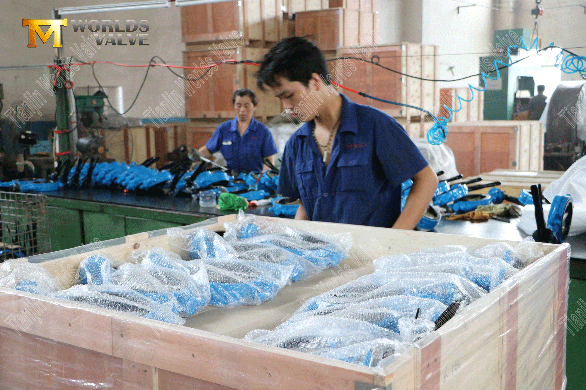 China Ventilhersteller - Schmetterlingsventil vom Typ Gusseisen -Wafer (8)