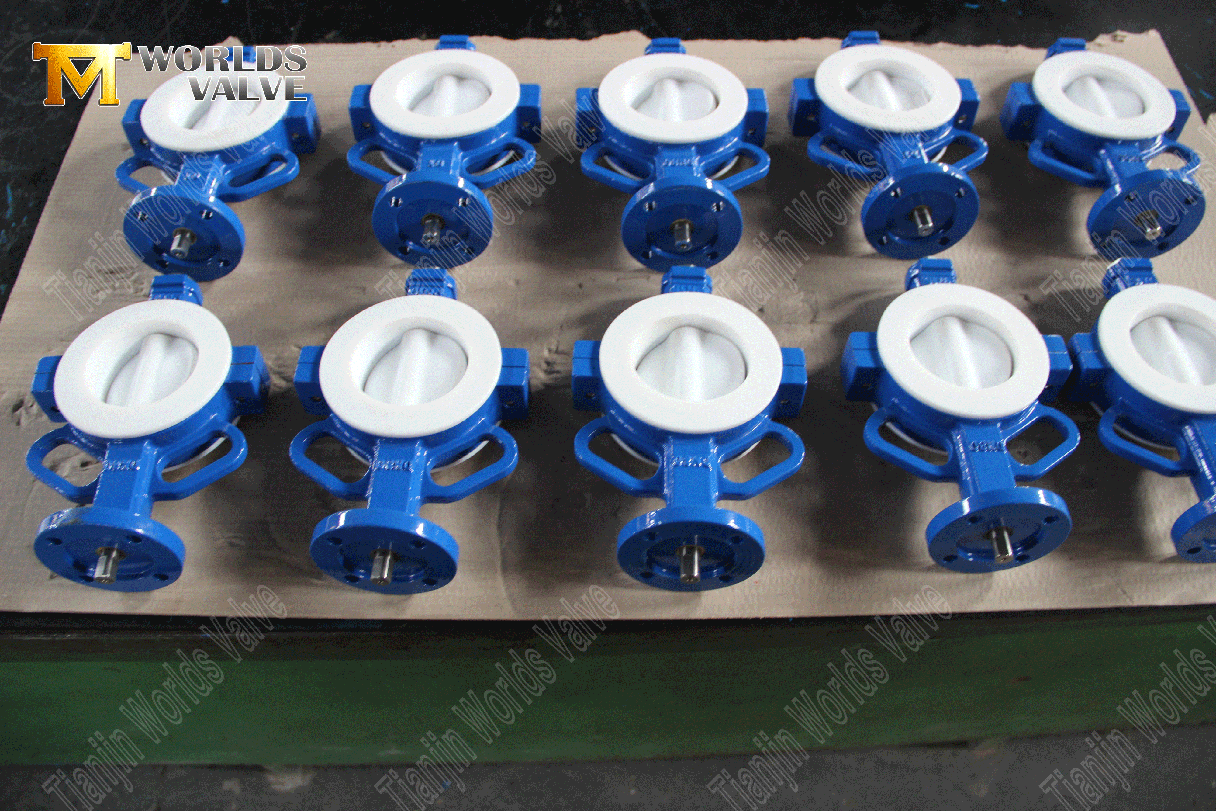 Ptfe ausgekleidete Butterfly-Vaves-Wafer-Typ-Butterfly-Valve-Factory-From-China- (5)