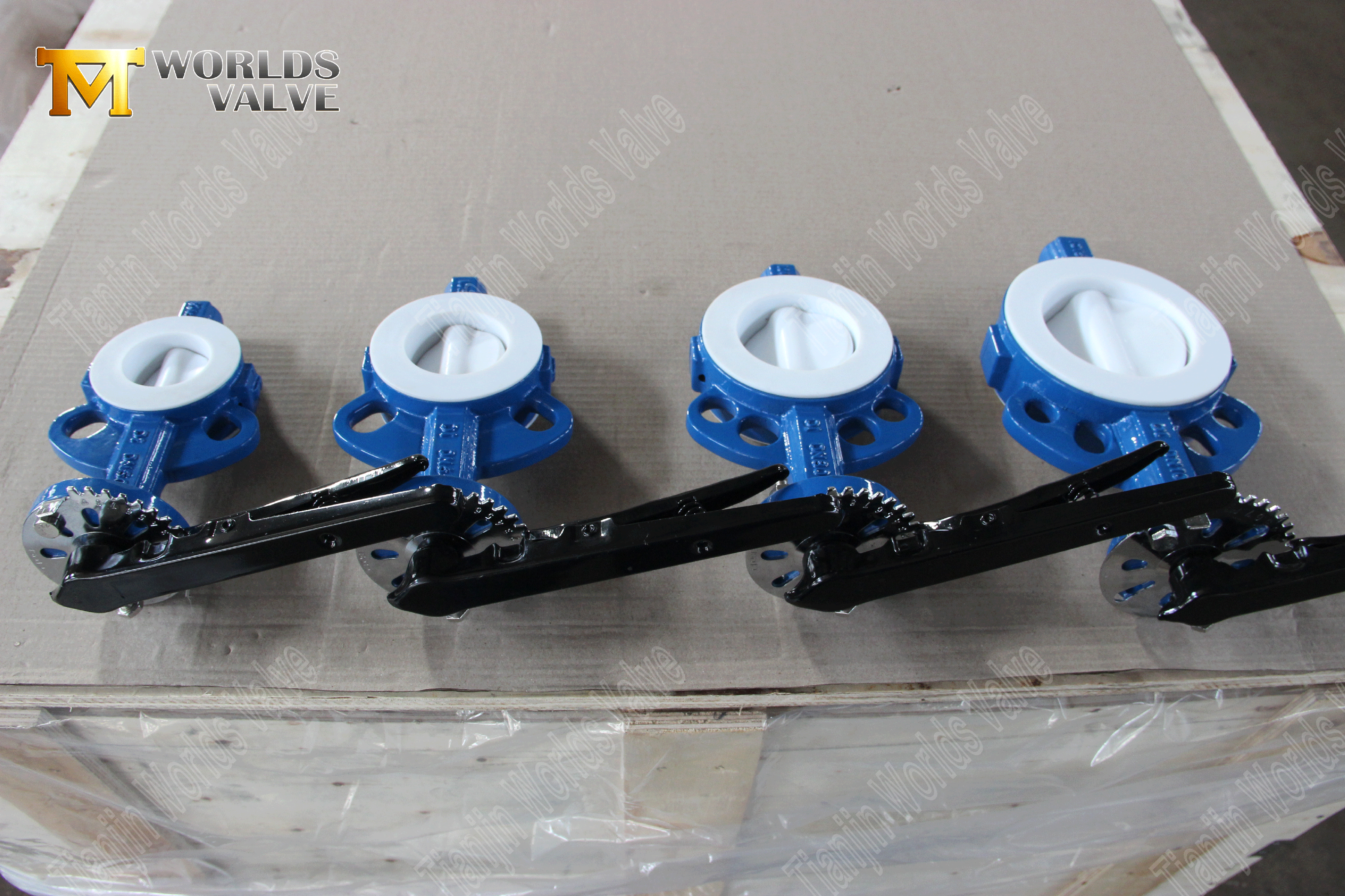 PTFE-mit Butterfly-Vaves-Wafer-Typ-Butterfly-Valve-Factory-from-China- (7)