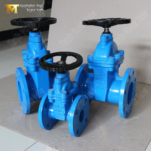 Installation, Betrieb und Wartung von ResilientSeatedGateValves