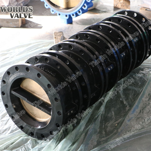 Doppeltür Doppelflansch-Rückschlagventil Rückschlagventil