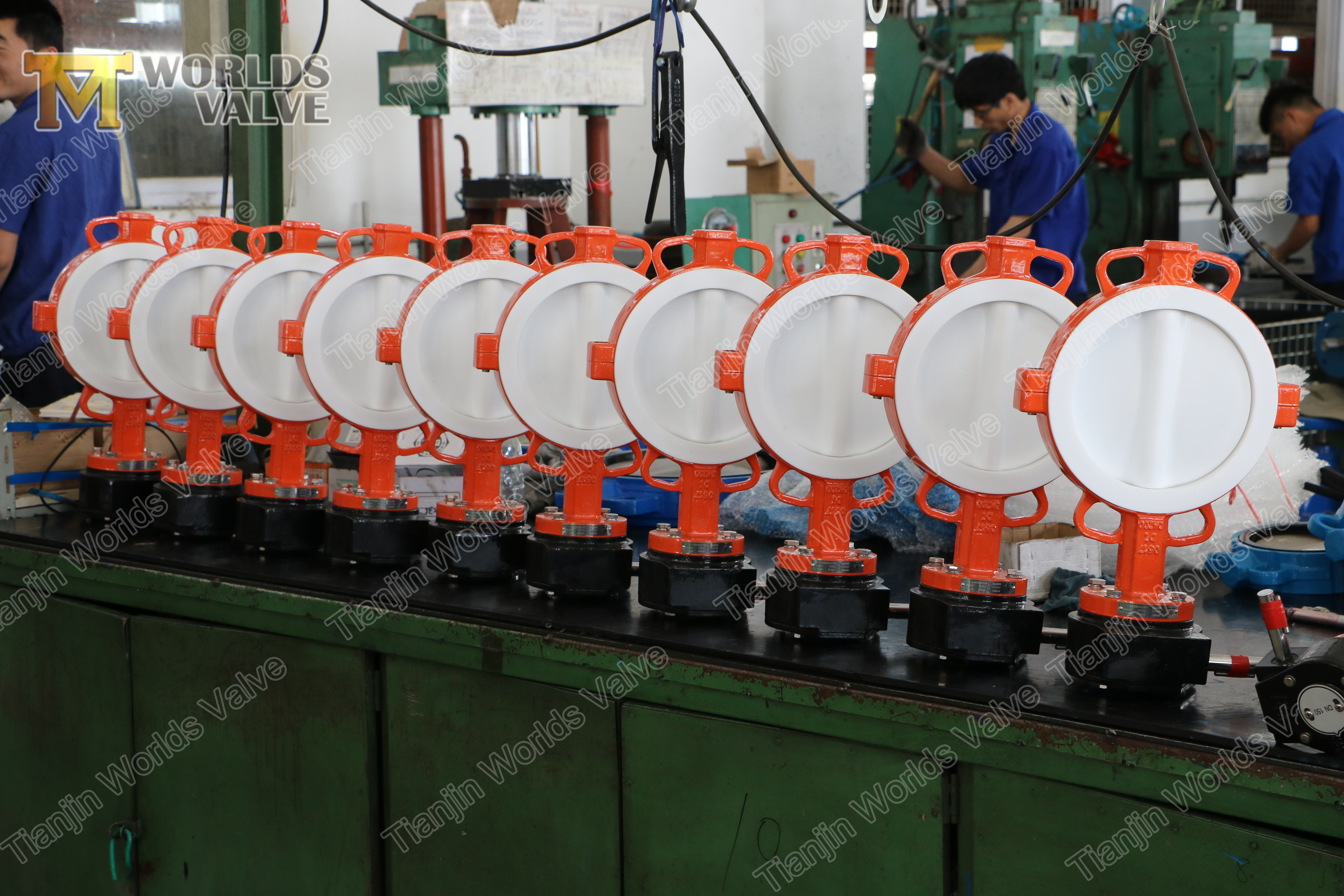 Schmetterlingsventil vom Typ Split Body Wafer mit PTFE-ausgekleidete Scheibe und Sitzplatz von China OEM Ventil Hersteller-Tianjin Worlds Valve Co., Ltd.