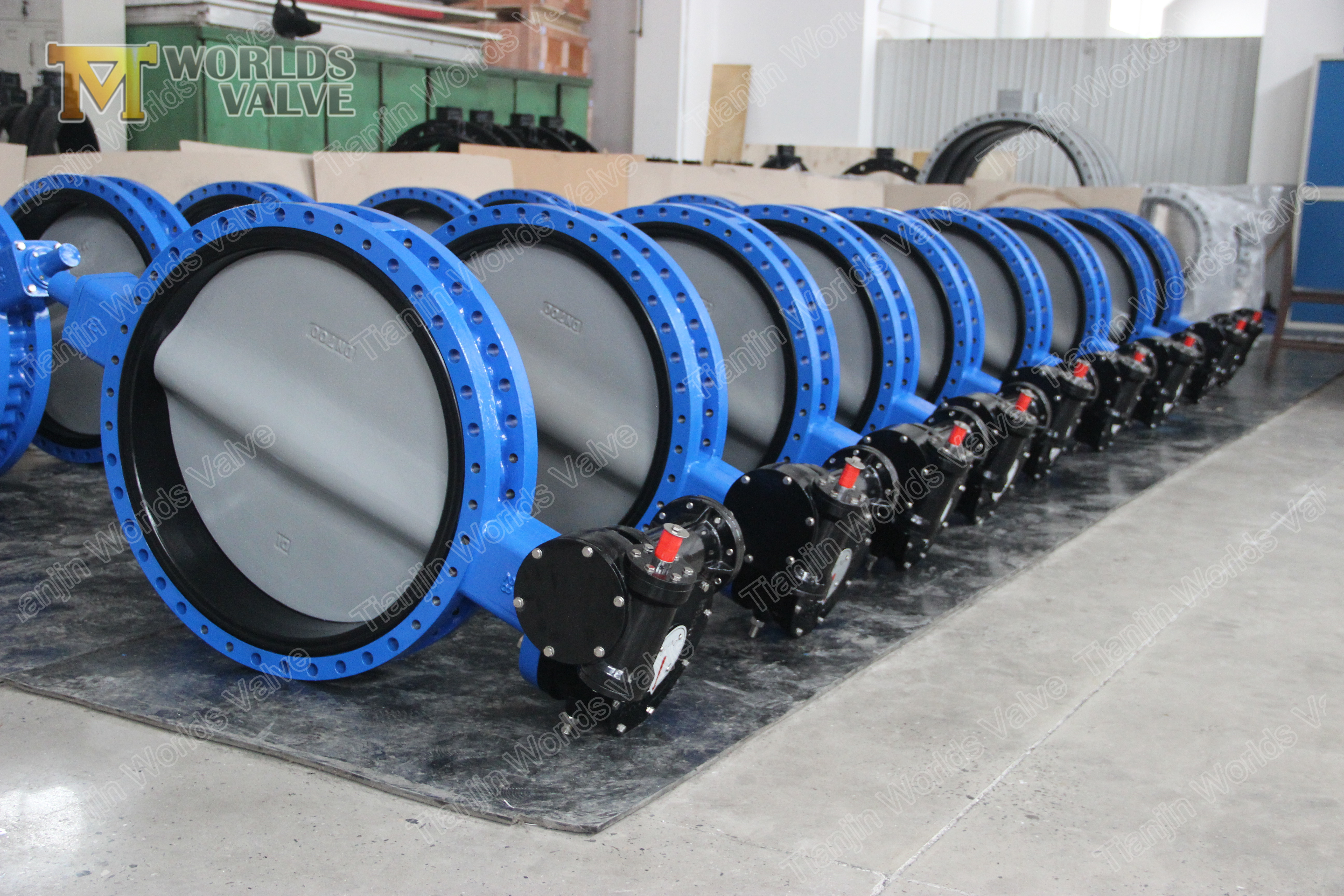 5 Doppelflansch-Schmetterlingsventil Cartrige API609 Klasse 150 PN10 PN16