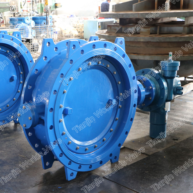 EN558 Series14 Exzentrisches Doppelflansch-Schmetterlingsventil