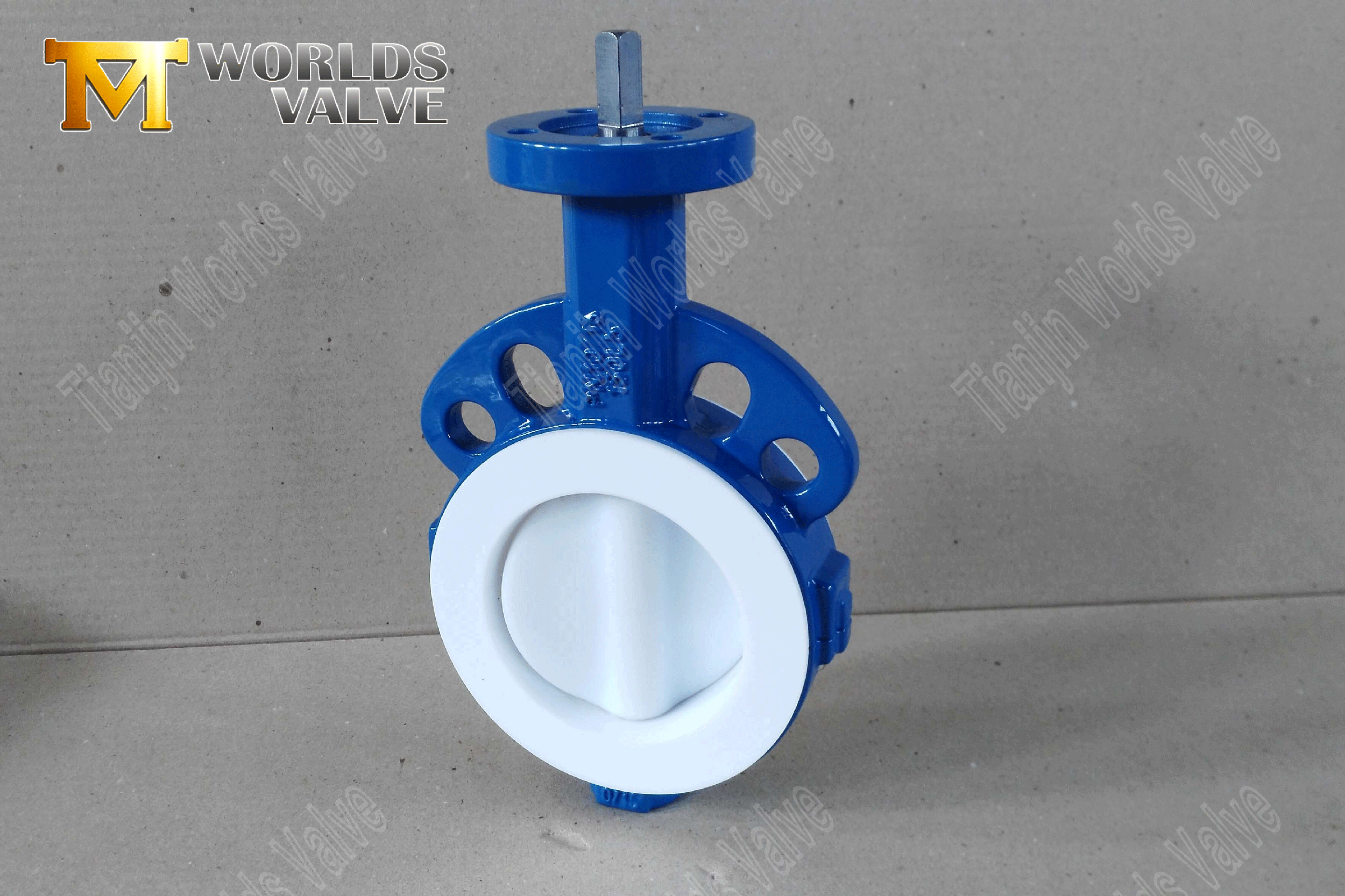 PTFE-mit Butterfly-Valve2