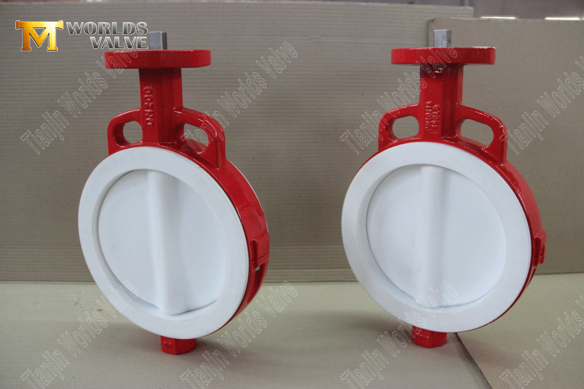PTFE-f&auml;hige Wafer-Butterfly-Valve- (4)