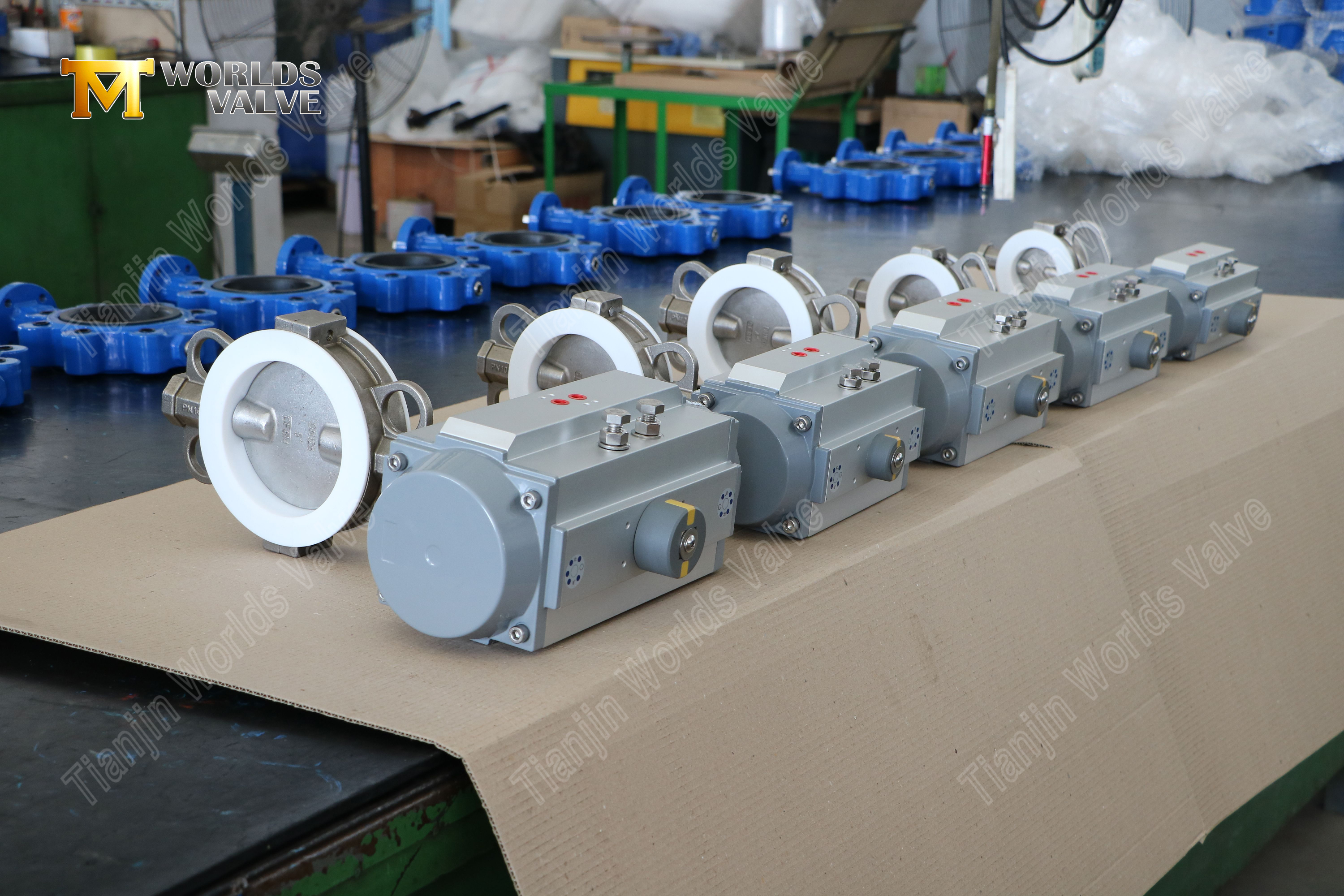 Split-Body-PTFE-SSS-Butterfly-Valve-mit-Pneumatic-Actuation-4