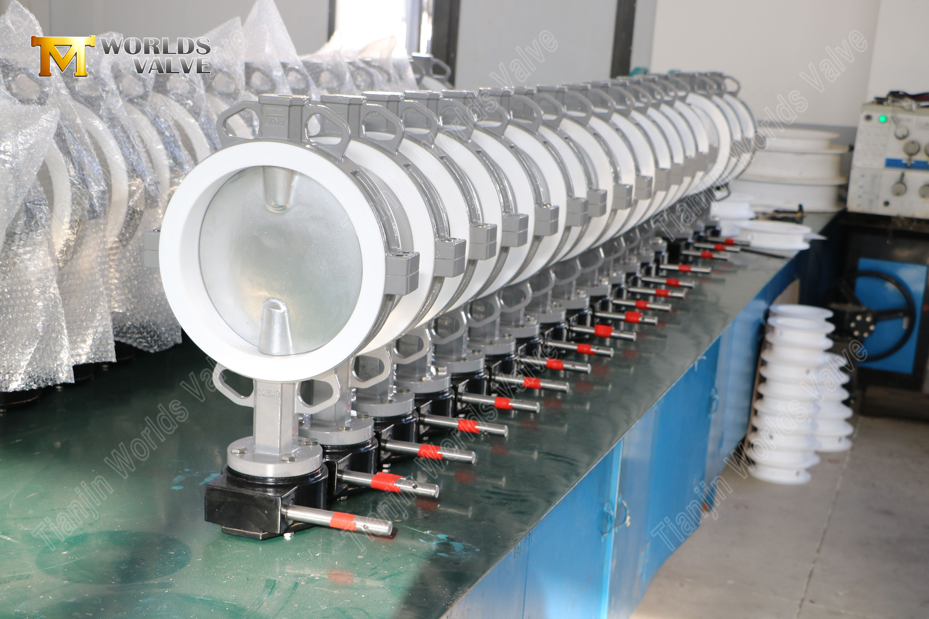 Split-Body-PTFE-SSS-Butterfly-Valve-mit-Pneumatic-Actuation-5