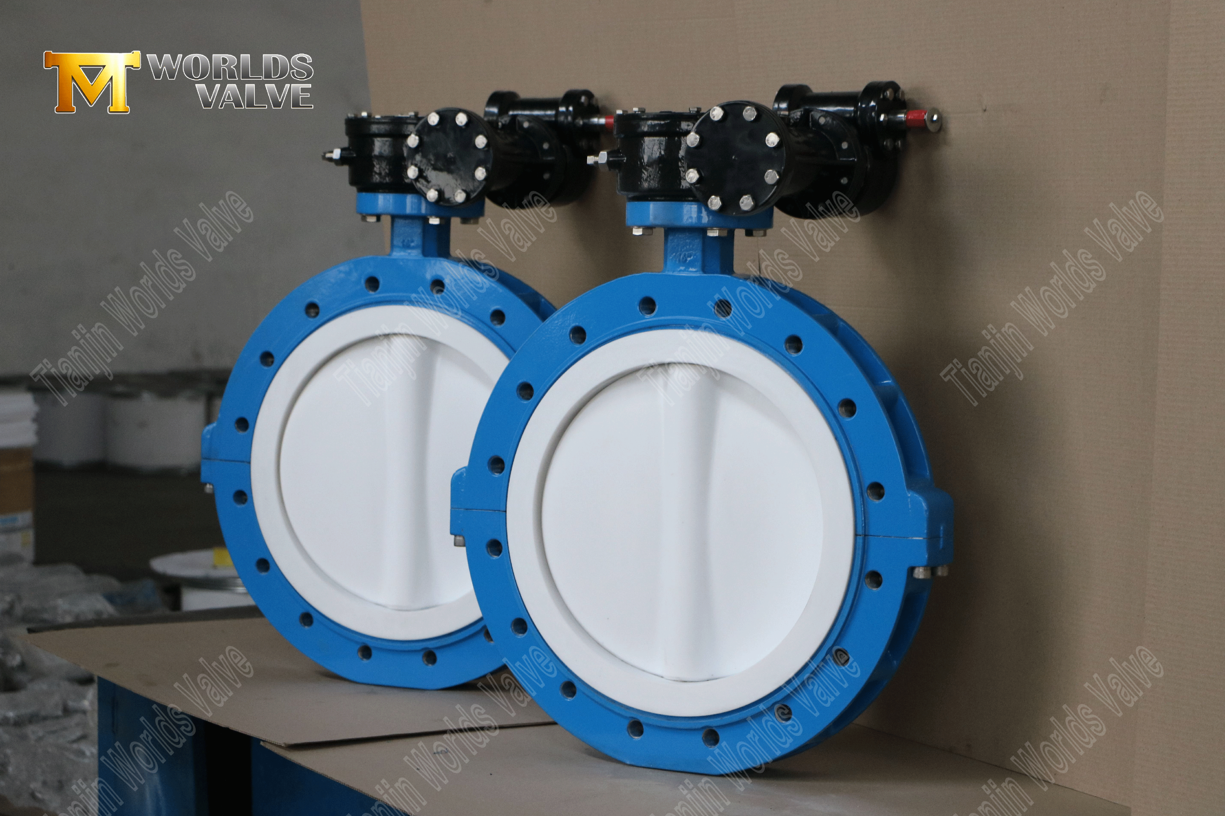 Sitz- und Scheiben-Absperrklappen aus PTFE mit Ansatz und Schneckengetriebe-3 (1)